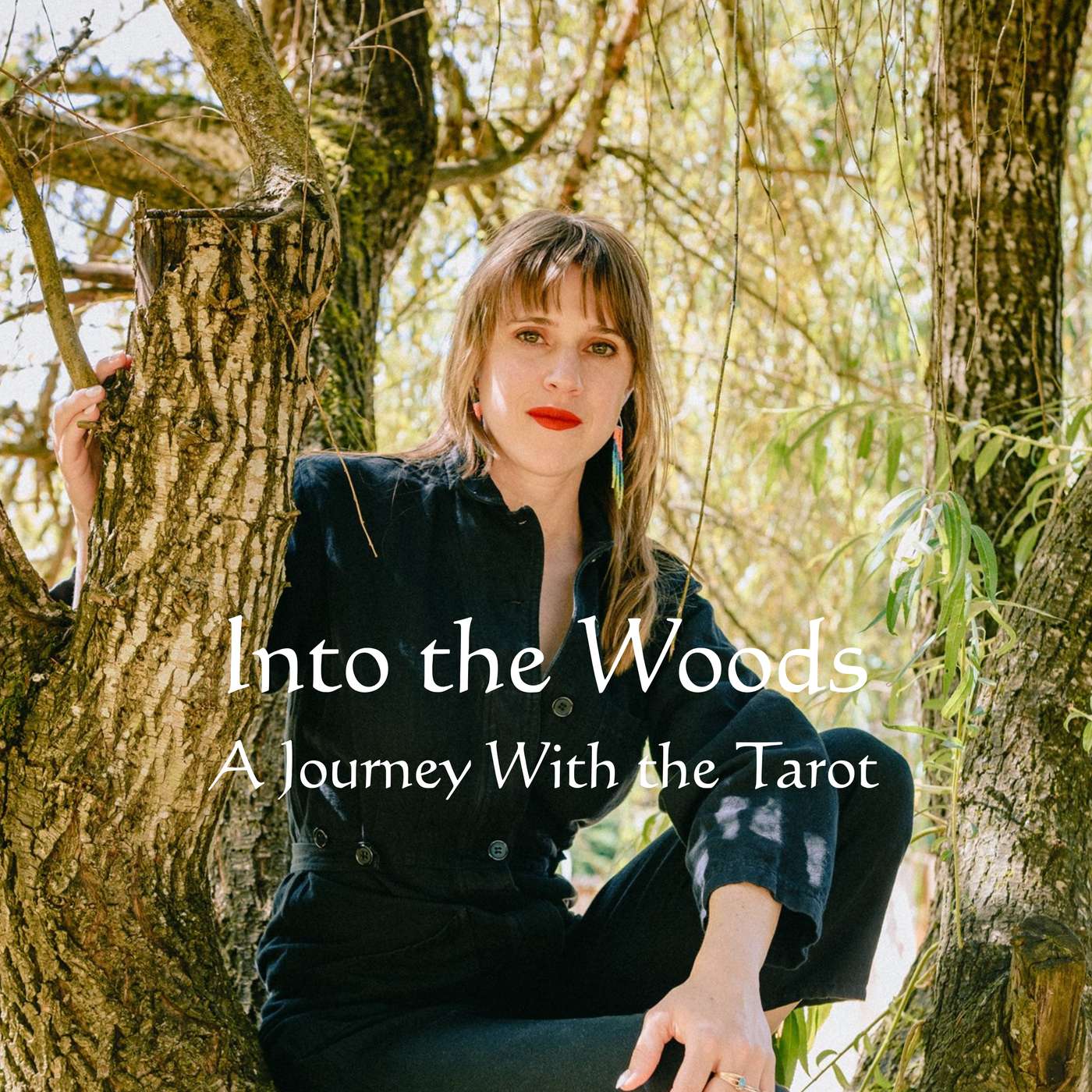 Into The Woods: A Journey With the Tarot cover