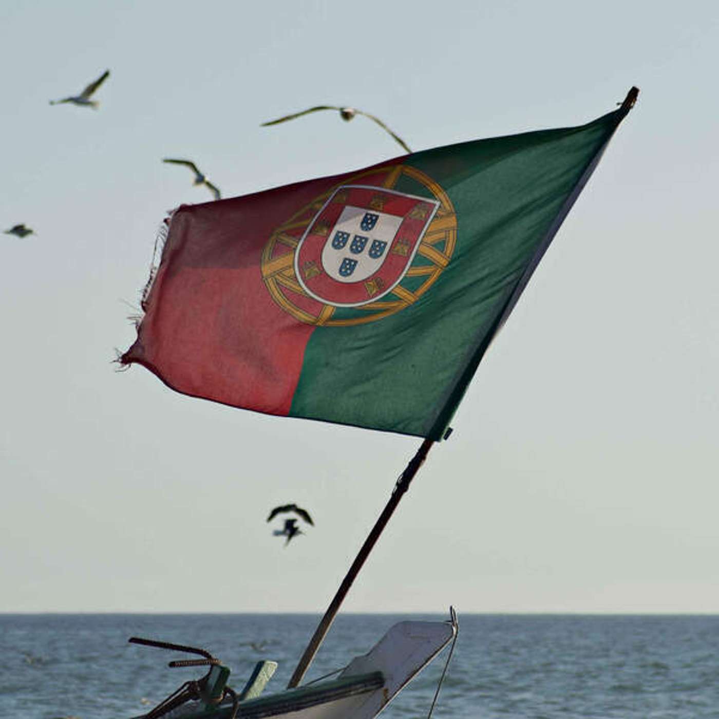 Inglês Nu E Cru Rádio apresenta: o ano de 2020! (Part IV) episode artwork