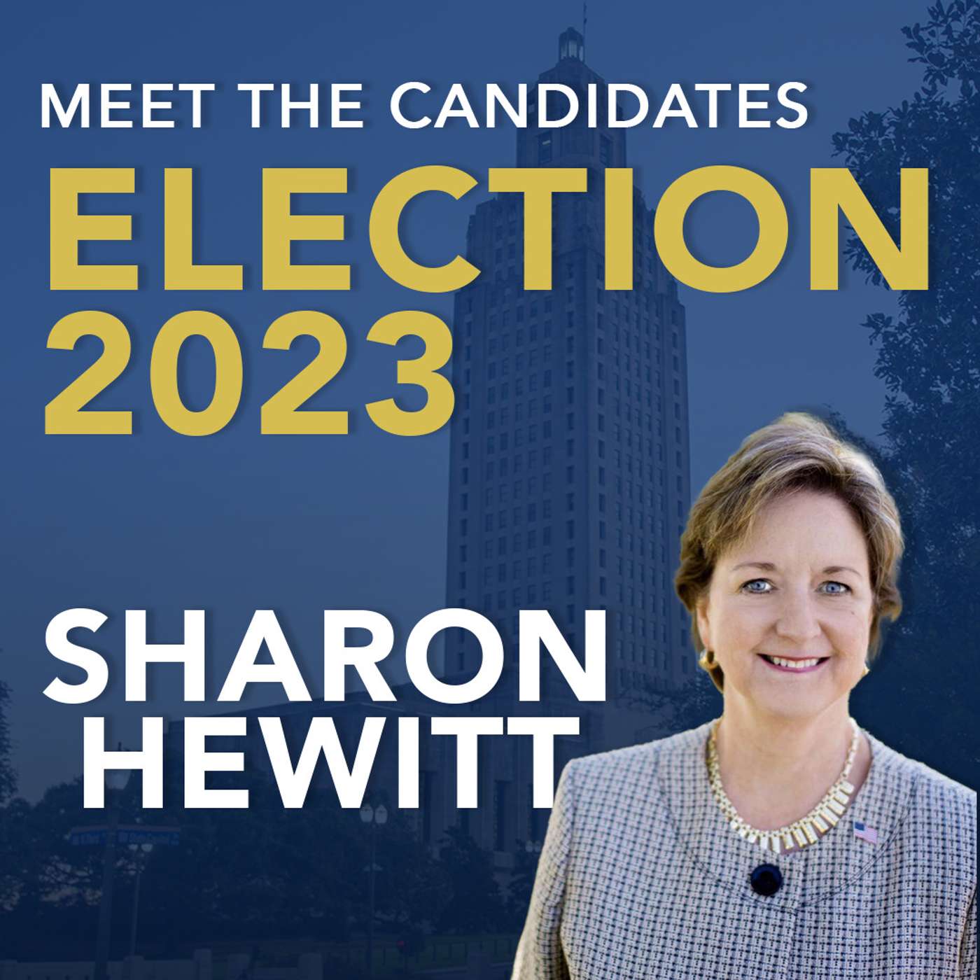 Louisiana Gubernatorial Candidate: Sharon Hewitt episode artwork
