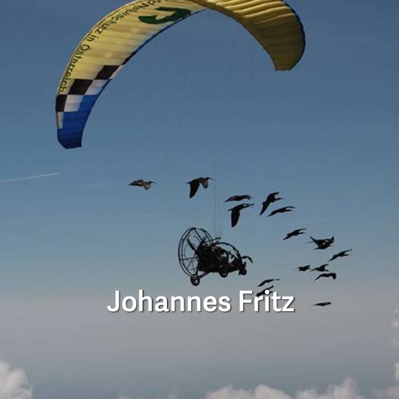 Johannes Fritz - Flight School For Birds