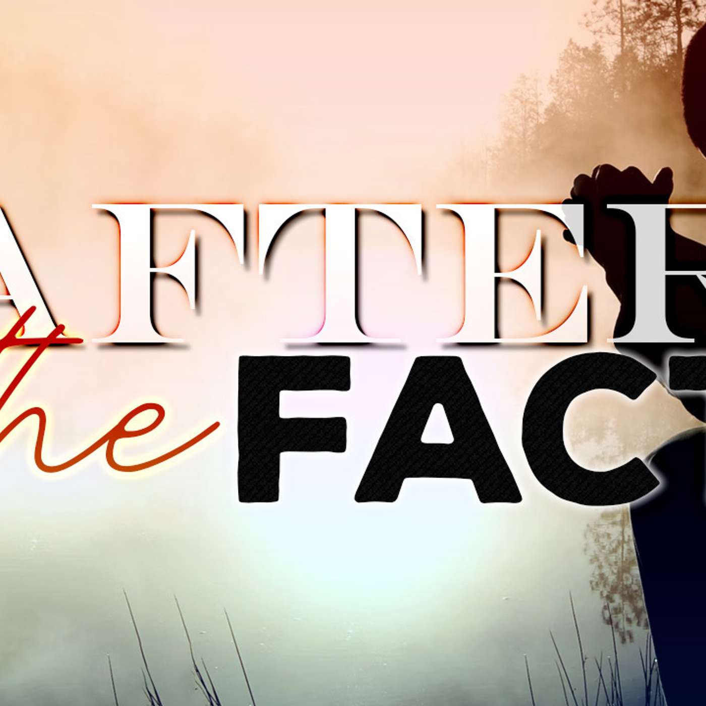 After The Fact - AJ Noel episode artwork