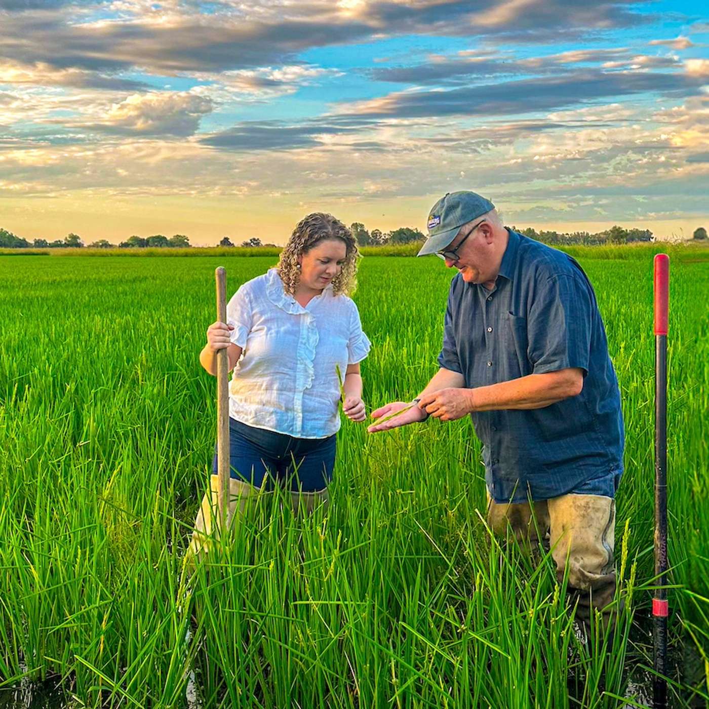 February 2025 - Bryce & Brita Lundberg, Lundberg Family Farms episode artwork
