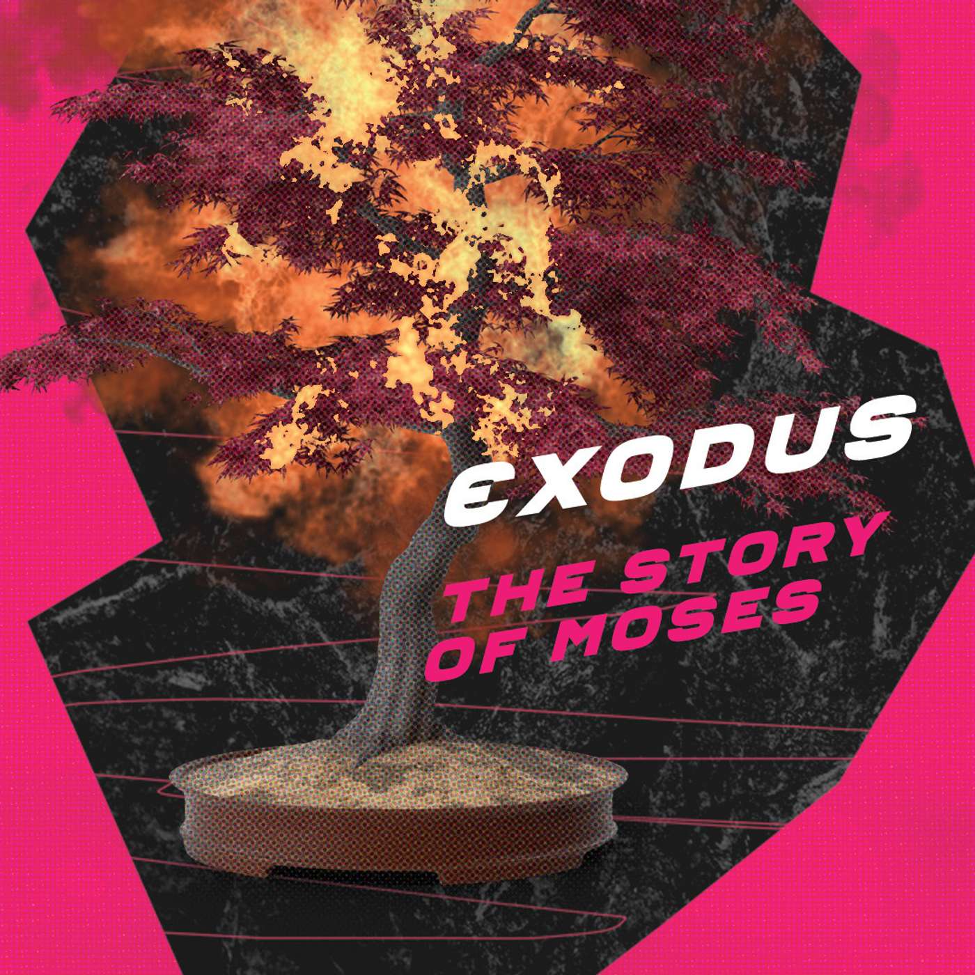 All Those Plagues - Bobbi Salkeld