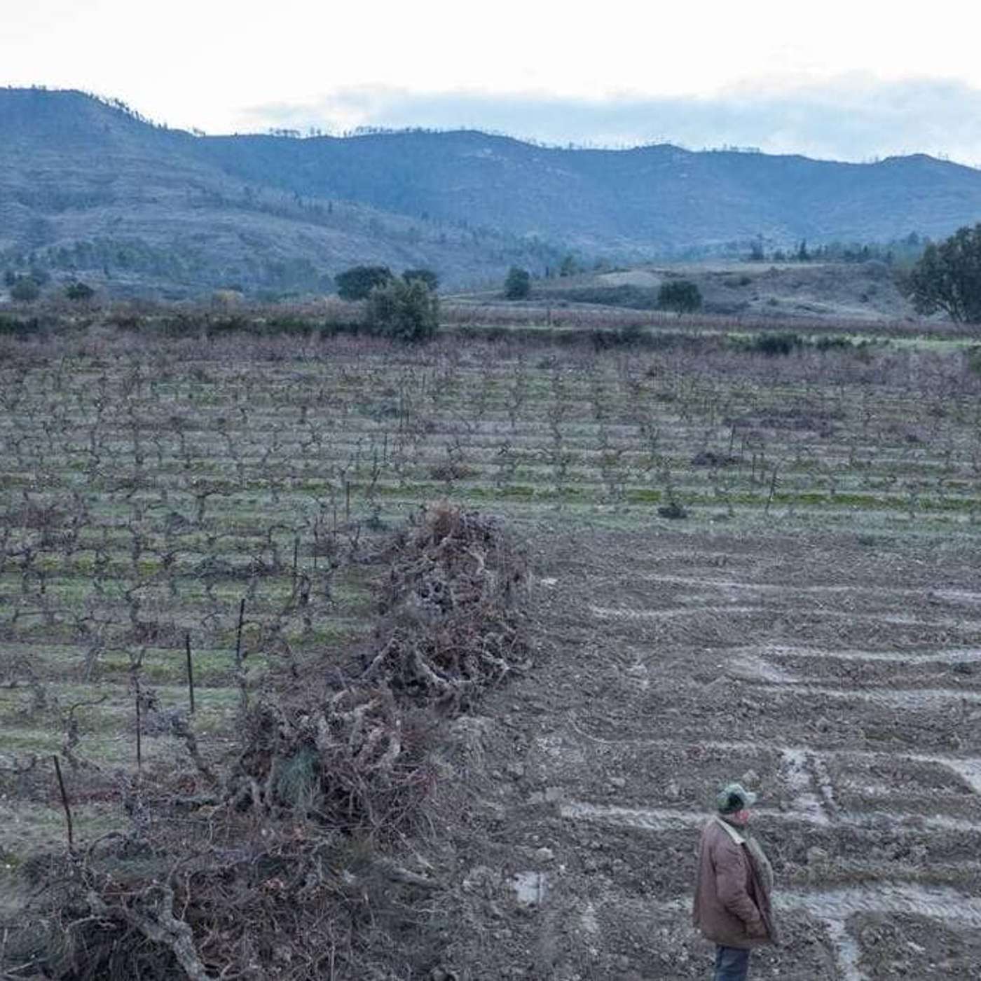 France Revives Wine Industry Plan, EU Warns Portugal Budget Risks, Germany Sees Fireworks Boom, Adenot Leads Educational ISS Mission, and more... France Revives Wine Industry Plan, EU Warns Portugal Budget Risks, Germany Sees Fireworks Boom, Adenot Leads Educational ISS Mission, and more...