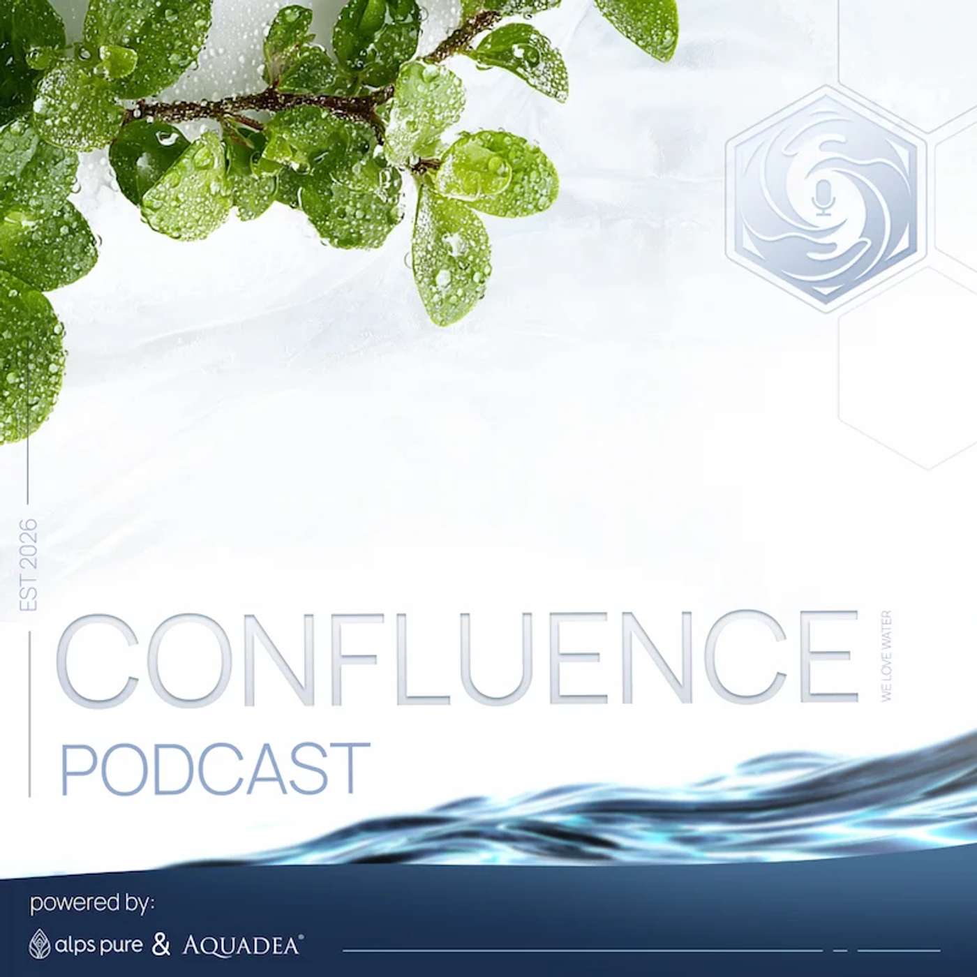 Wasser und Schlaf – was nachts in deinem Körper passiert | Confluence episode artwork