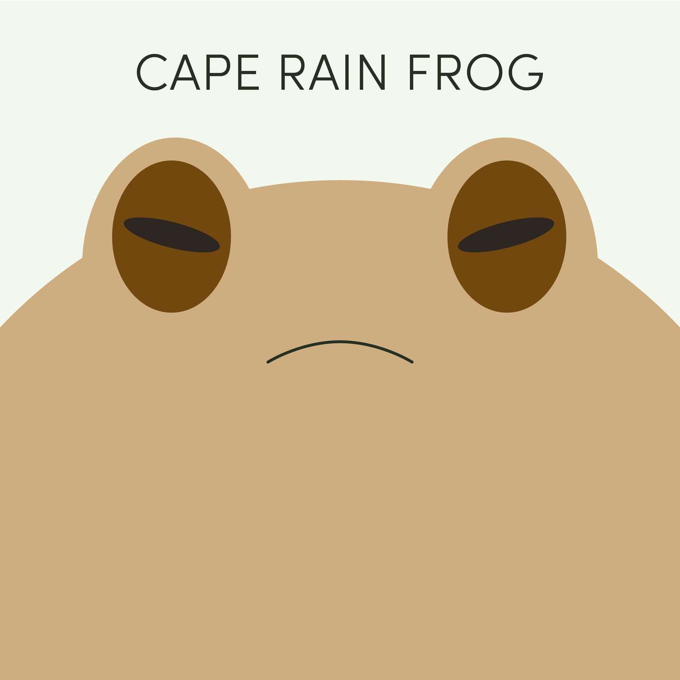 Cape Rain Frog | Week of July 20th
