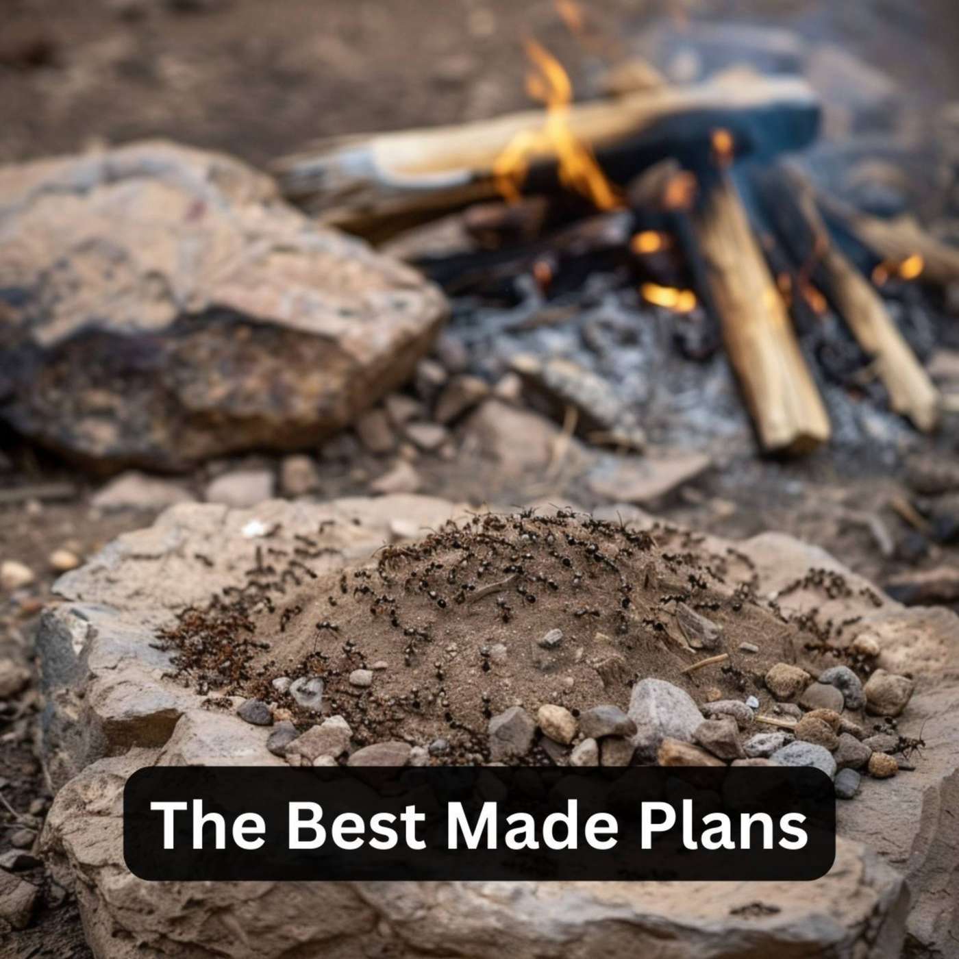 Day 279 - The Best Made Plans episode artwork