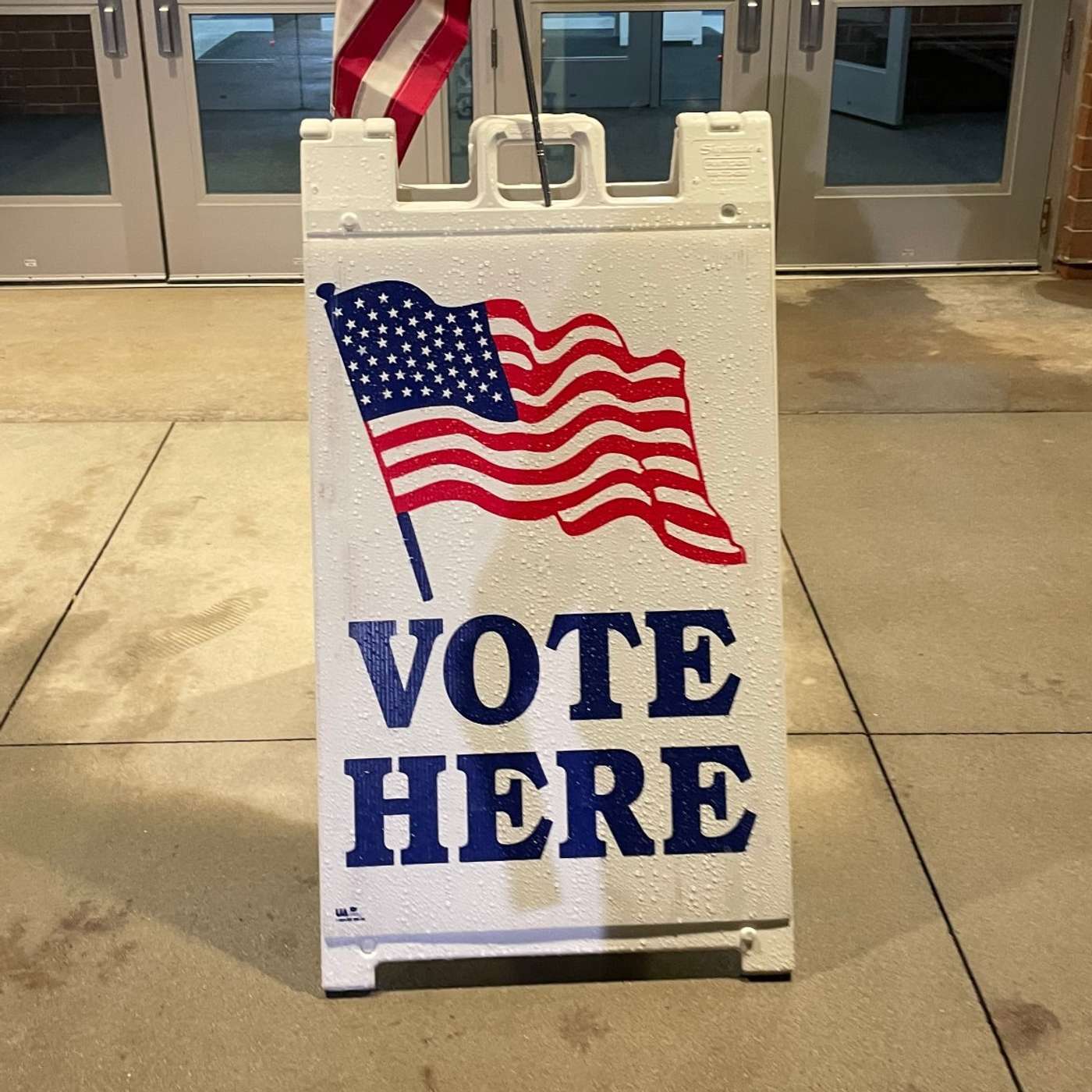 NSS Weekly: What to Know Before Casting a Ballot NSS Weekly: What to Know Before Casting a Ballot