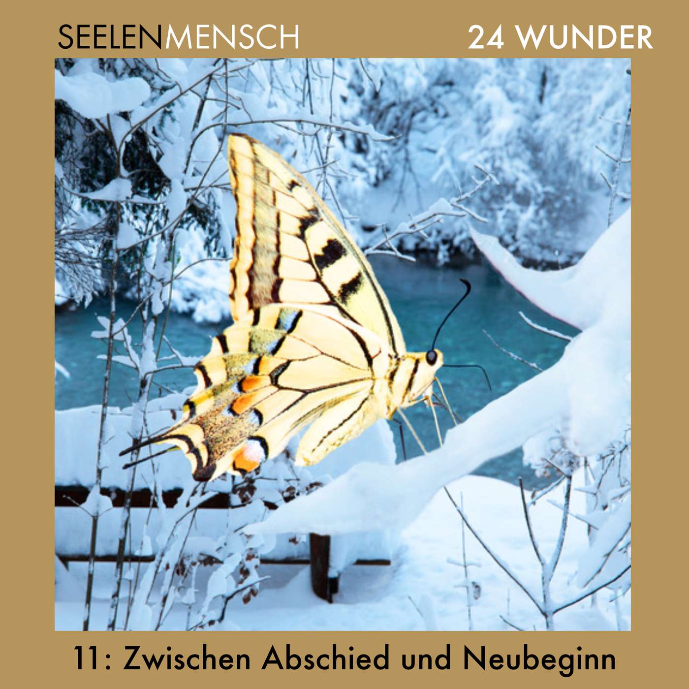 #051 11. Dezember - Zwischen Abschied und Neubeginn #051 11. Dezember - Zwischen Abschied und Neubeginn