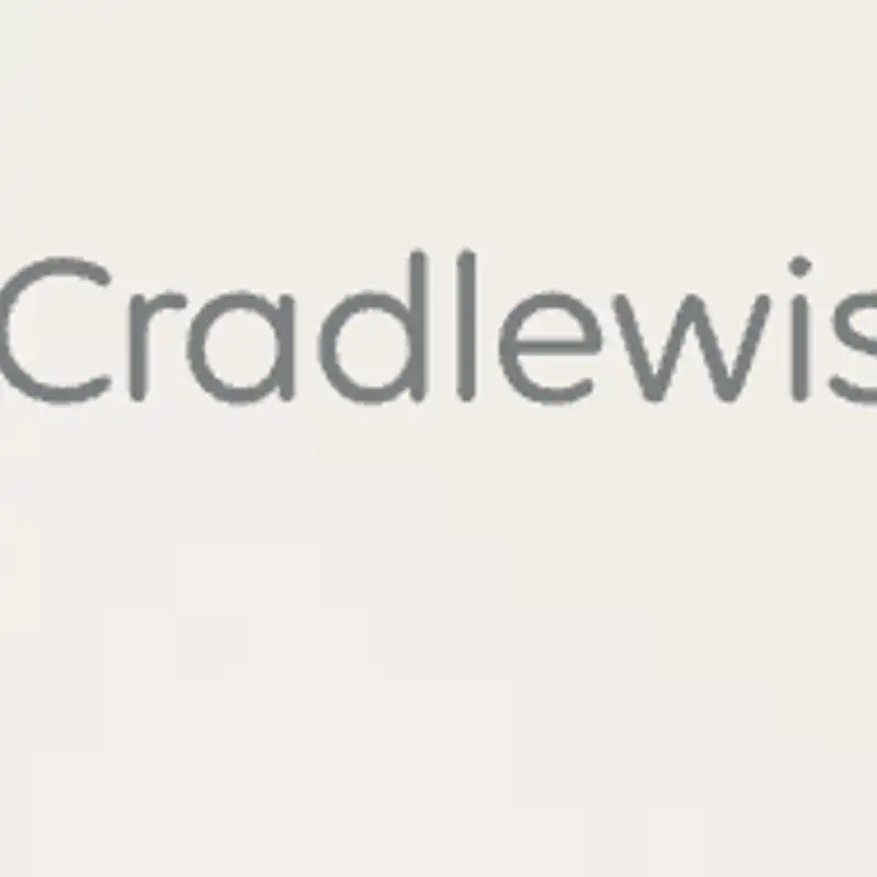 Next Biz Thing #3 - cradlewise.com
