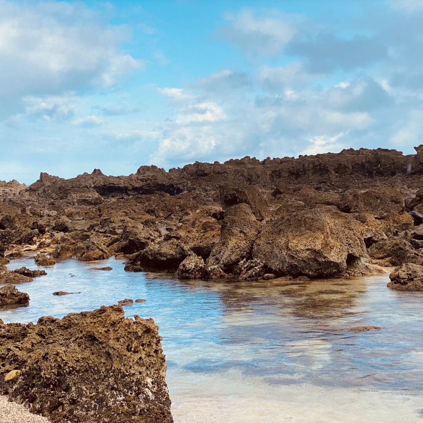 Change Your Language, Smash Your Limits: Unleashing Psychedelic Transformation