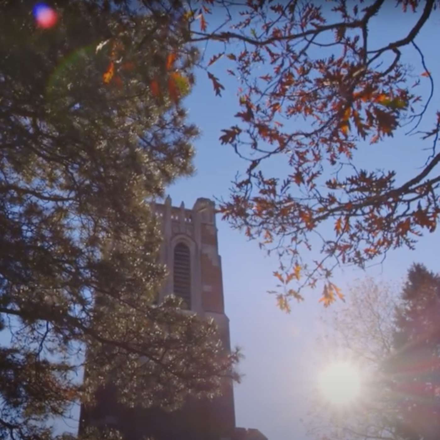 “Faculty and staff are absolutely critical to everything we do at MSU” episode artwork