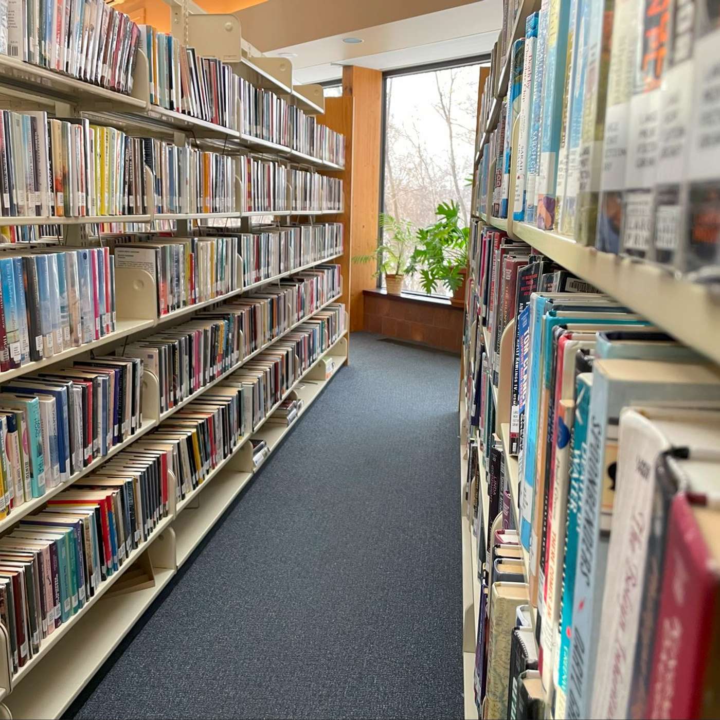 Minnesota Libraries at a Crossroads: Budget Cuts, Staffing Shifts, and Book Access Protections episode artwork