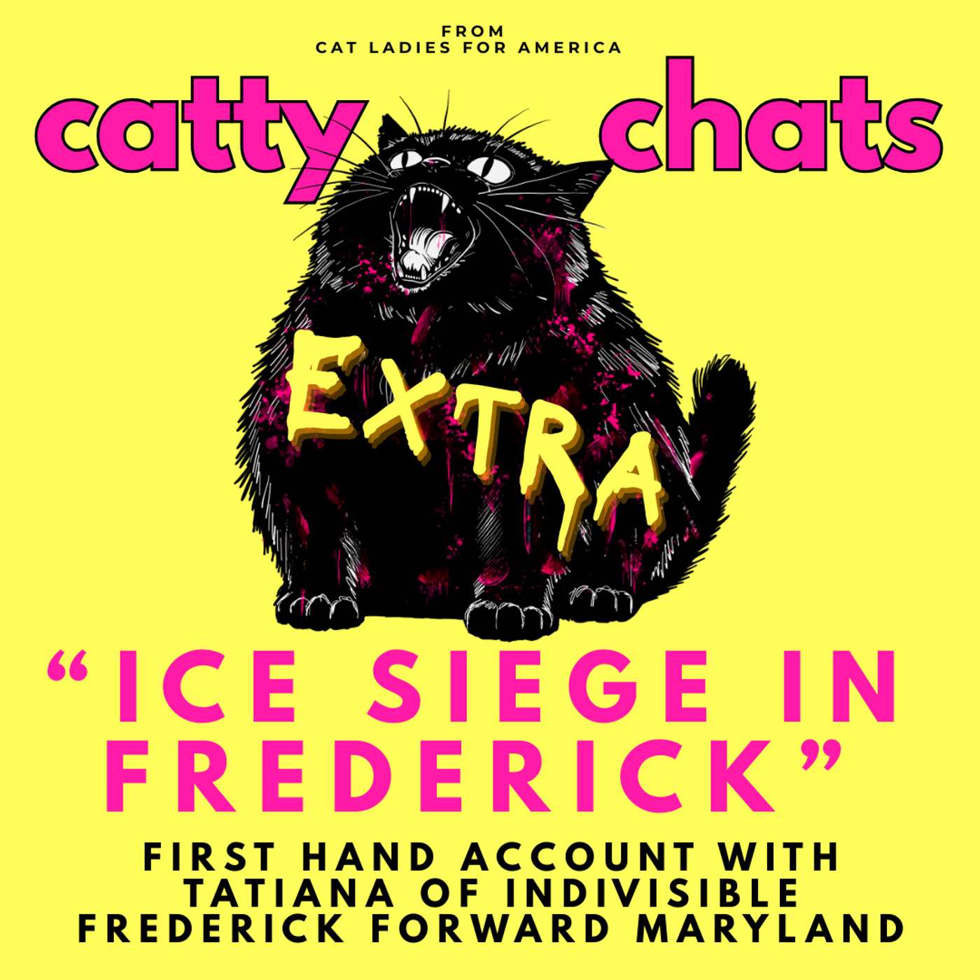 ICE SIEGE IN FREDERICK: FIRST HAND ACCOUNT episode artwork