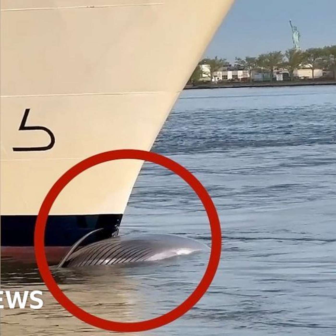 AstraZeneca Halts Vaxzevria, Endangered Whale Found Dead, Thick atmosphere discovered on 55 Cancri e, Youngest Regains Hearing, and more...