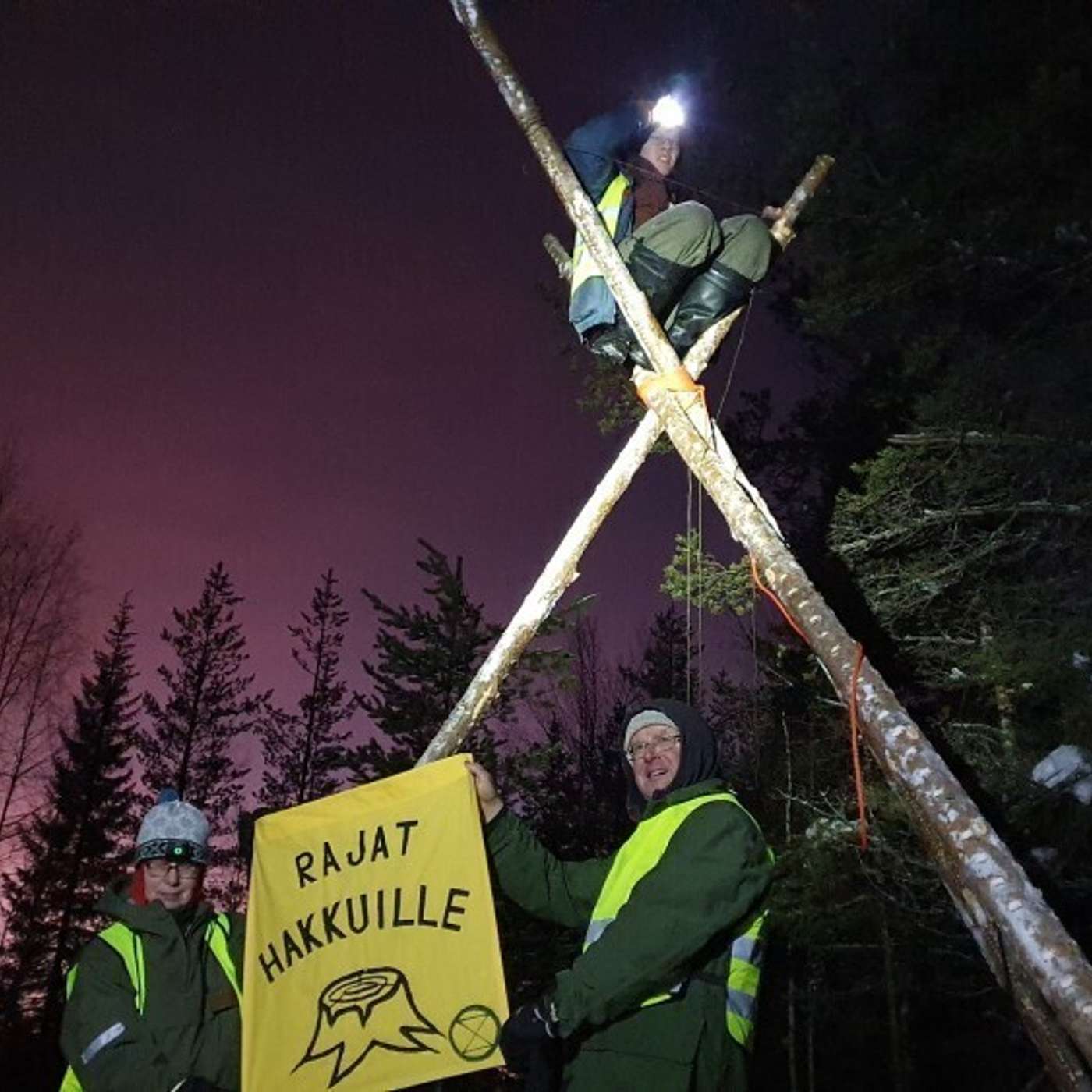 Активисты снова не дают рубить лес на одном из участков в Лапландии