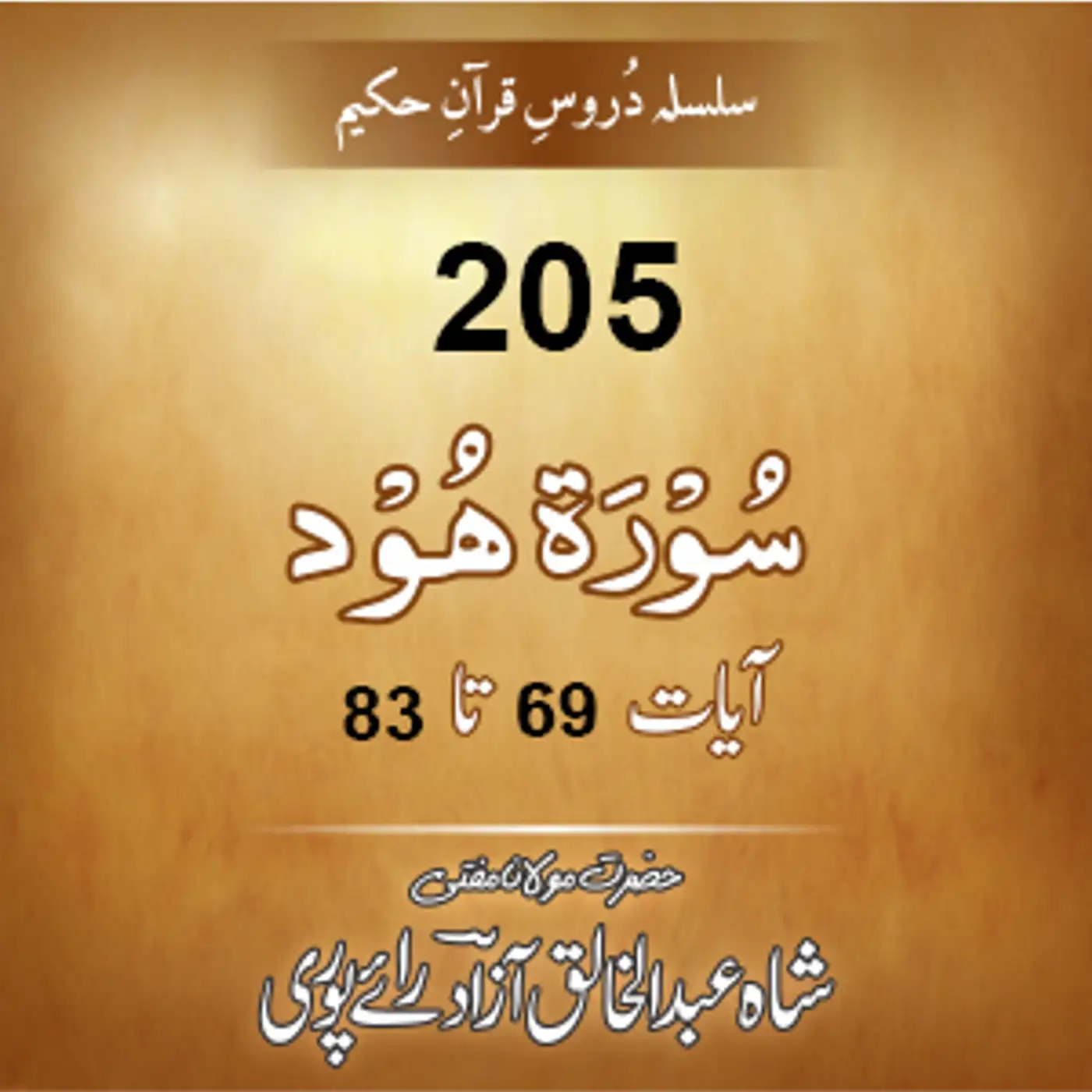 205 Hood 69-83