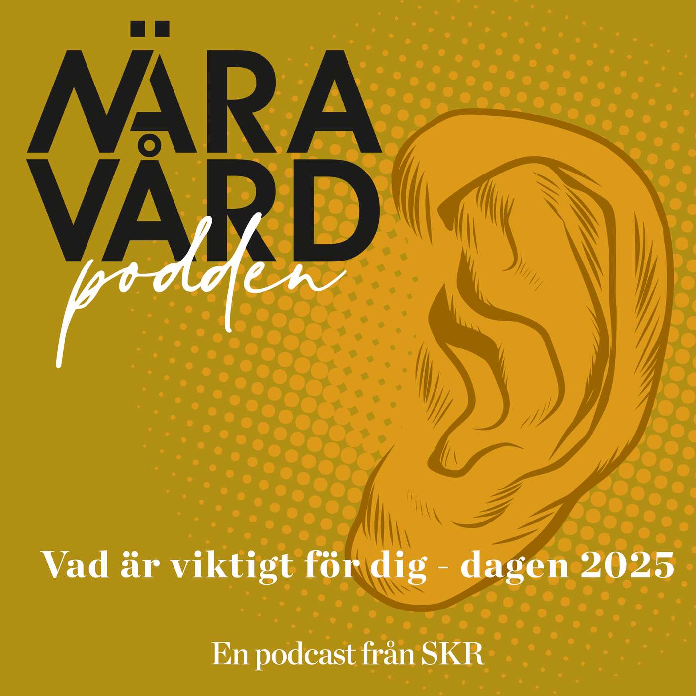 Vad är viktigt för dig - dagen 2025