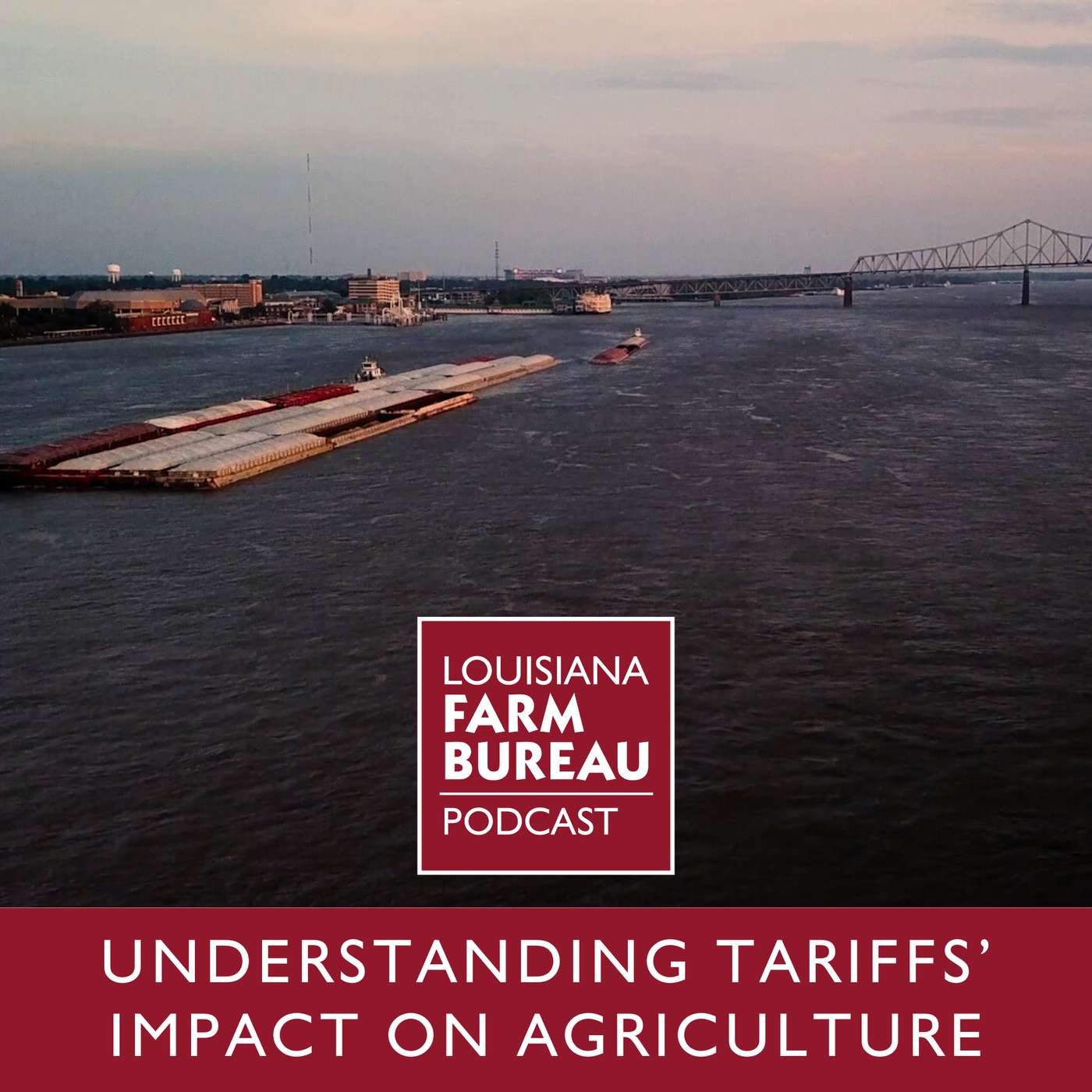Understanding Tariffs' Impact on Agriculture Understanding Tariffs' Impact on Agriculture