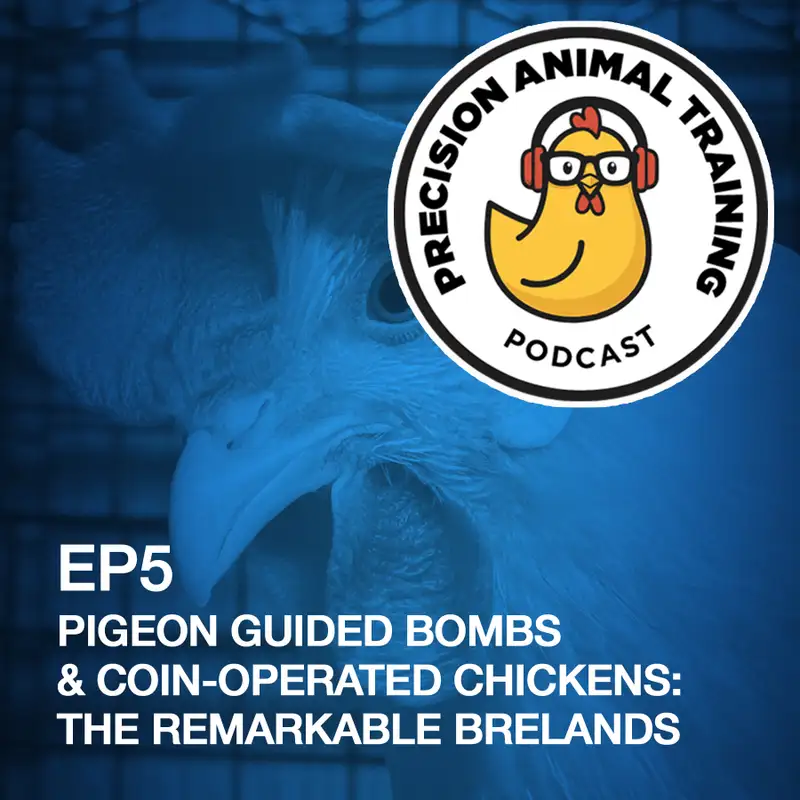 Pigeon Guided Bombs and Coin-Operated Chickens: The Remarkable Brelands 