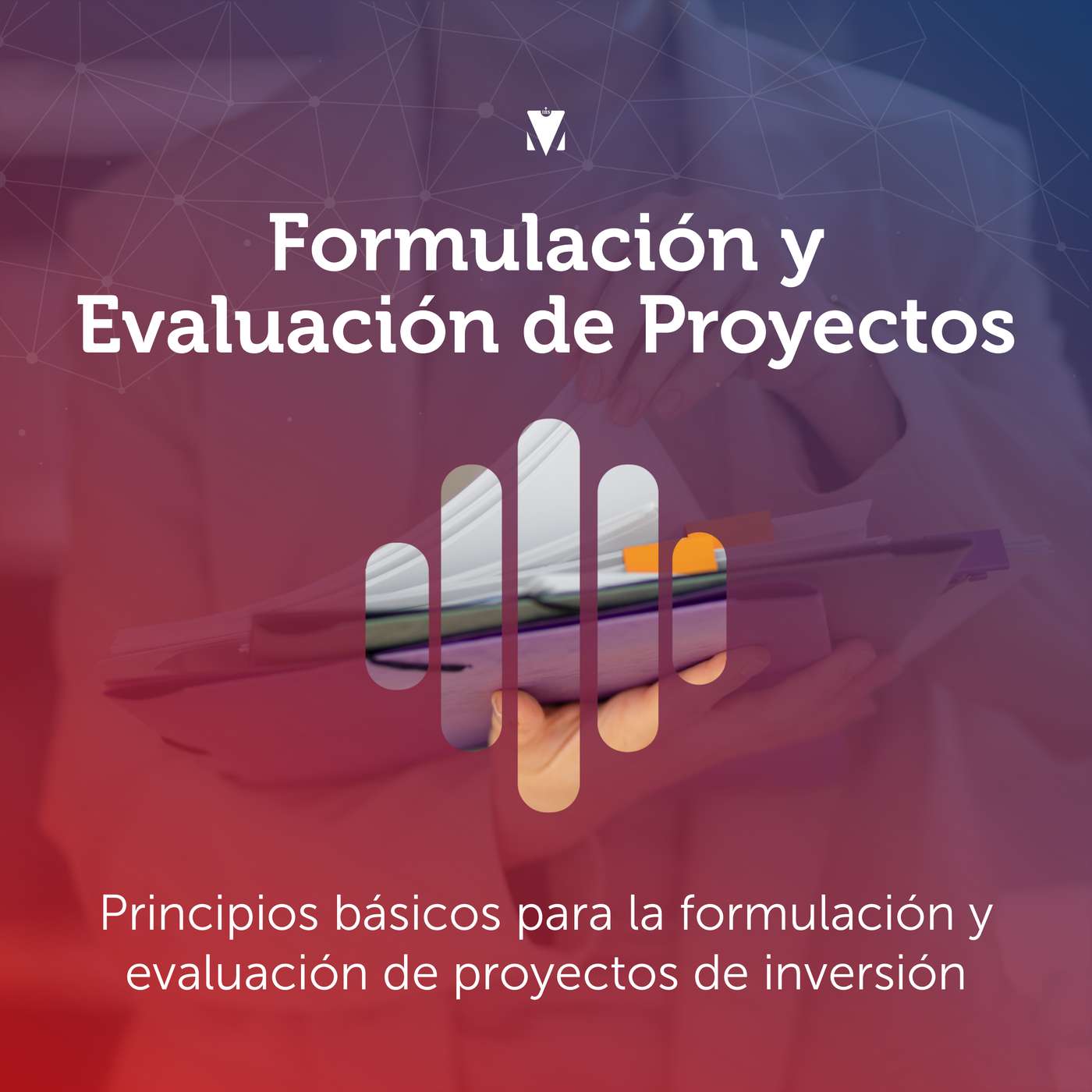 1 - FORMULACIÓN Y EVALUACIÓN DE PROYECTOS: Principios básicos para la formulación y evaluación de proyectos de inversión