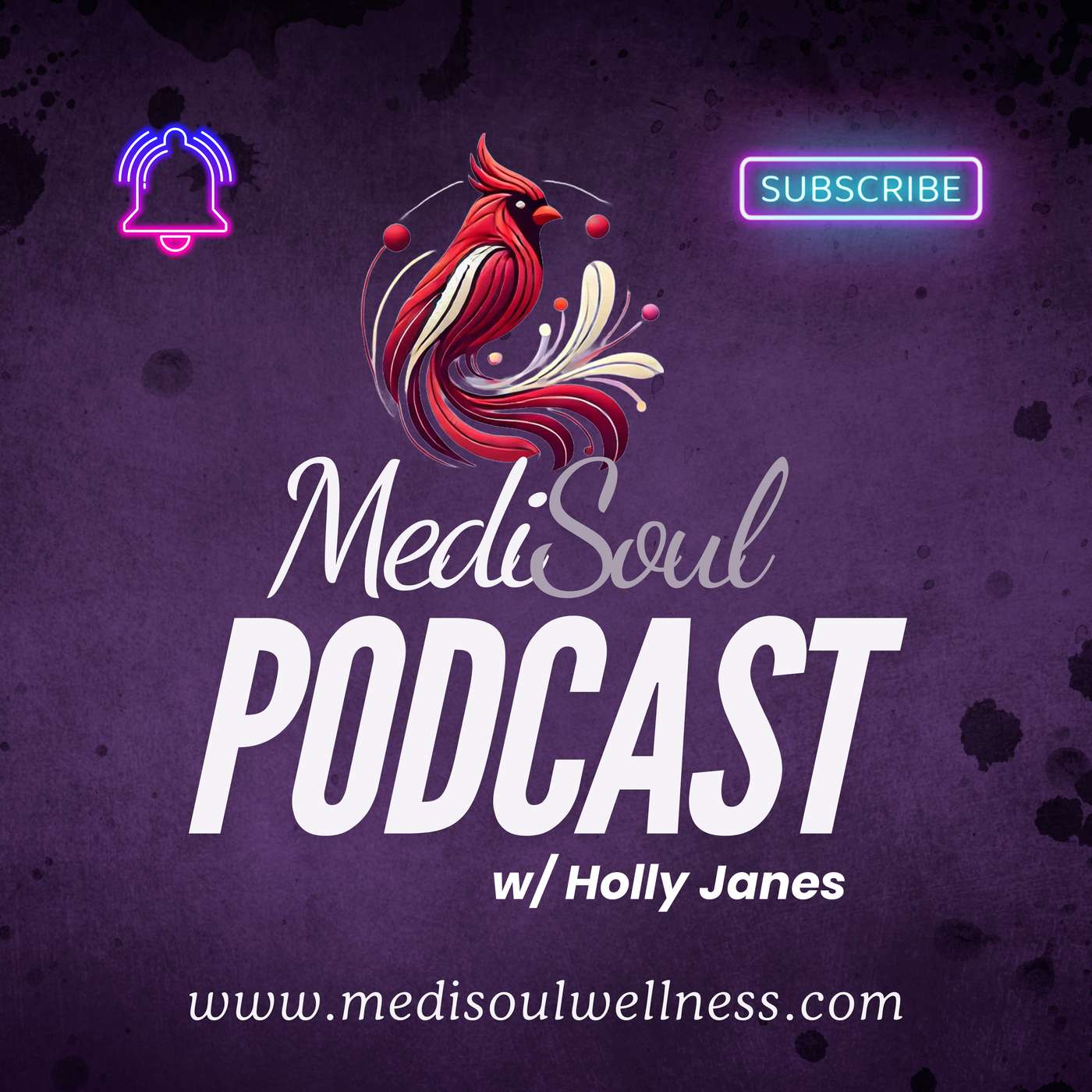 The MediSoul Podcast