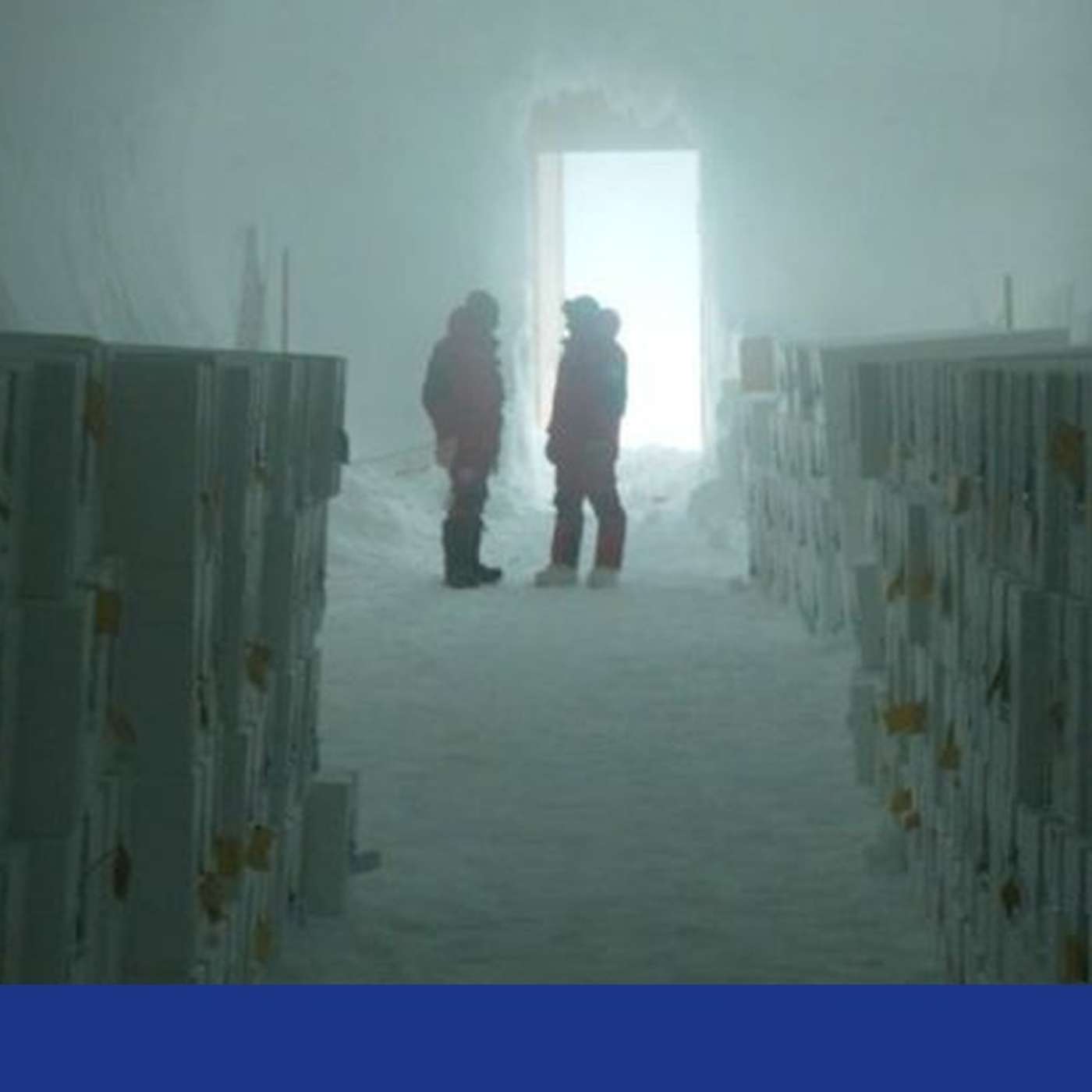 Antarctica Safeguards Climate Memory, Woolly Rhino Genome Reveals Extinction, Global Deltas Sink Faster, OLED Stretch Breakthrough Boosts Luminescence, and more...