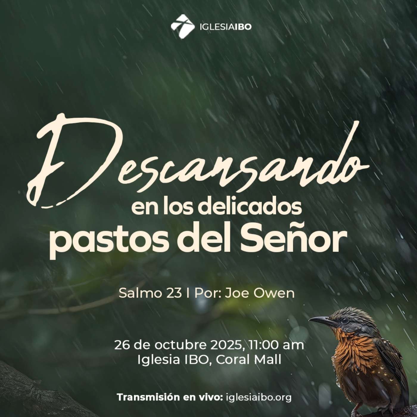 Descansando en los delicados pastos del Señor - Salmos 23