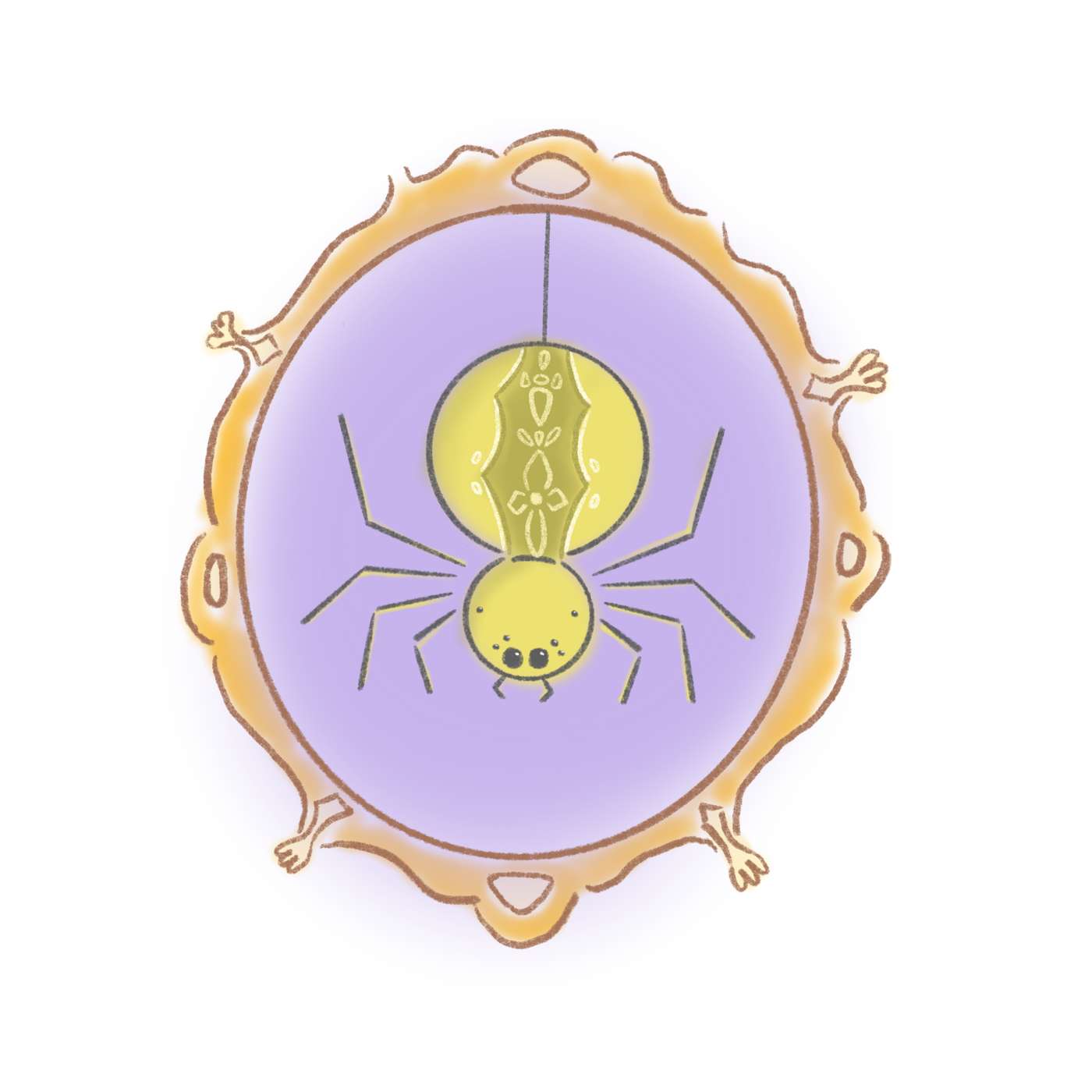 Démystifions... L'araignée ! Une émission réalisée par les étudiants de Médiation scientifique en environnement