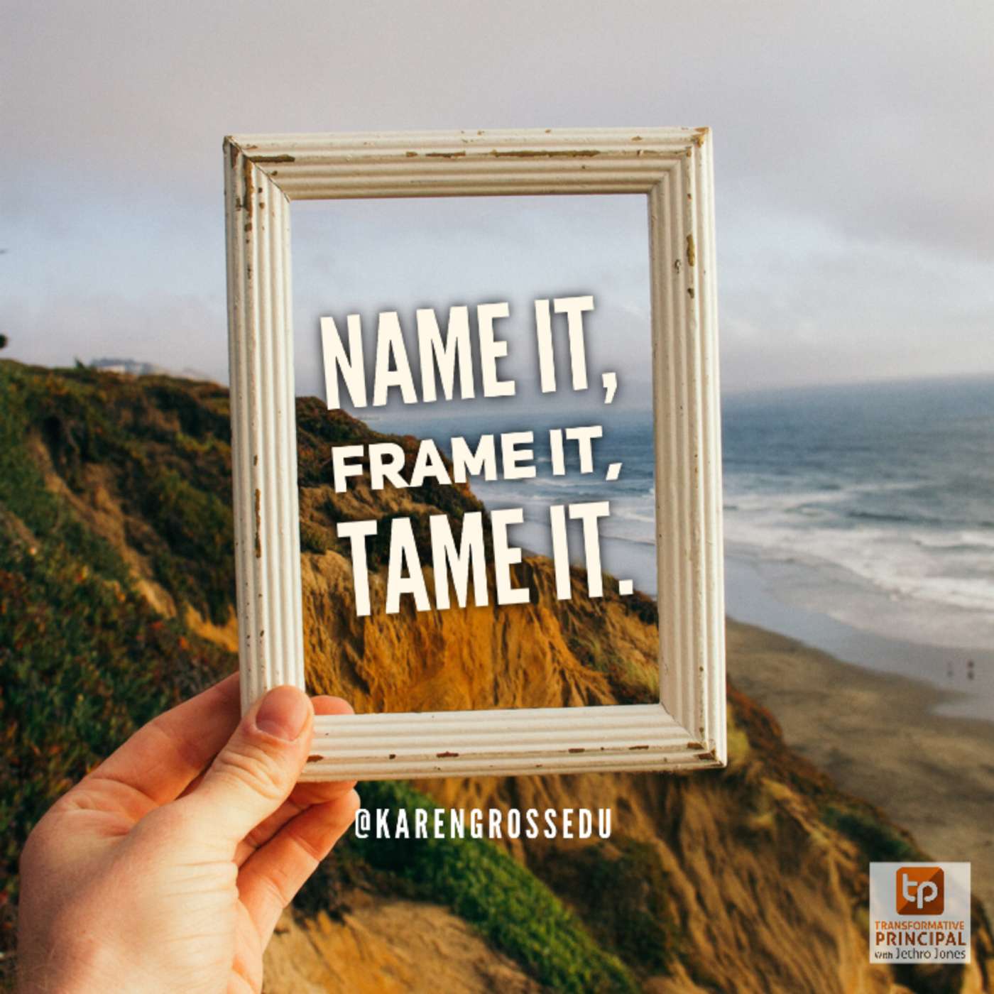 Transformative Principal