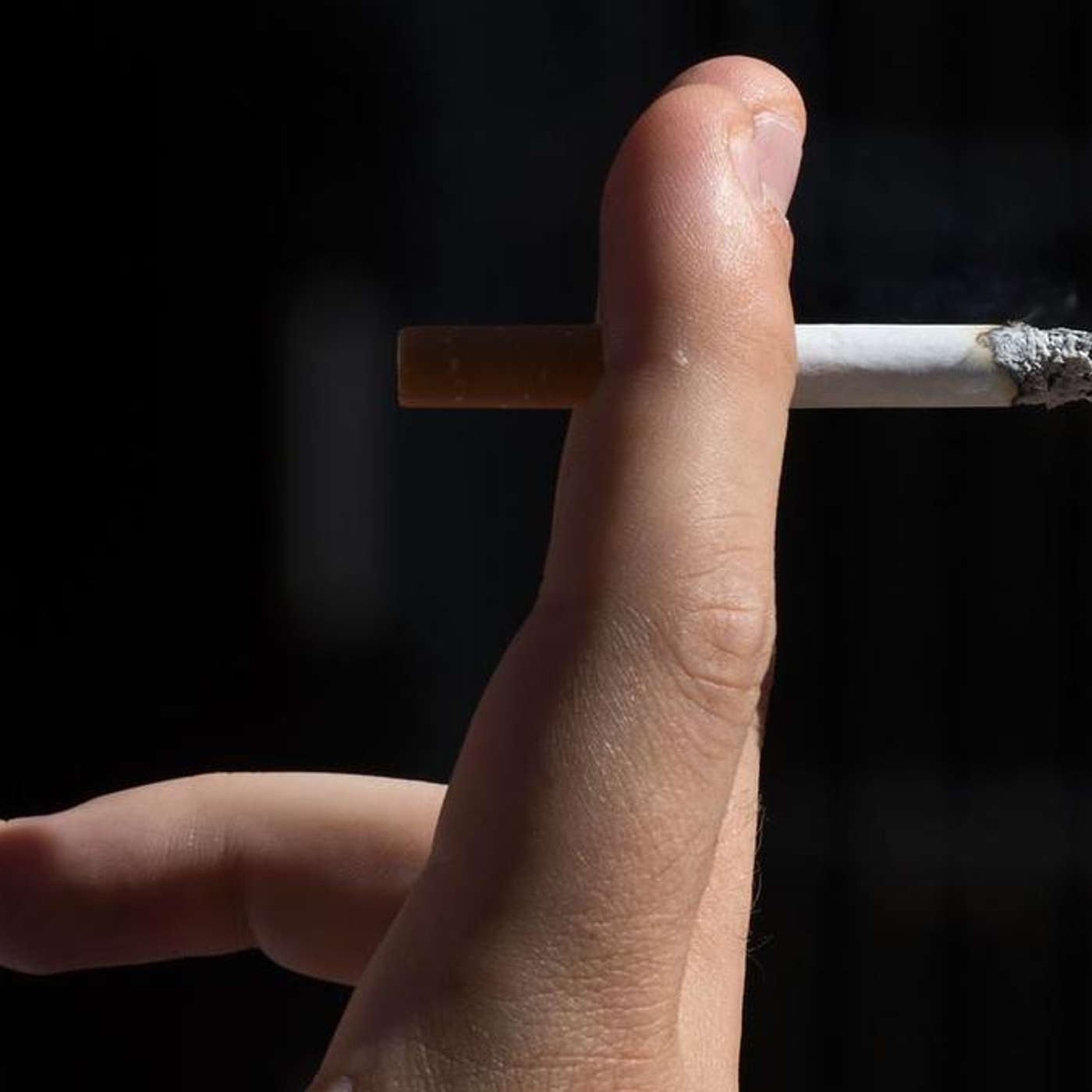 Global Cancer Preventable Cases Rise, FDA Fast Tracks Datroway, Rhino Migration Exposed, Ultra-Processed Foods Face Regulation, and more...