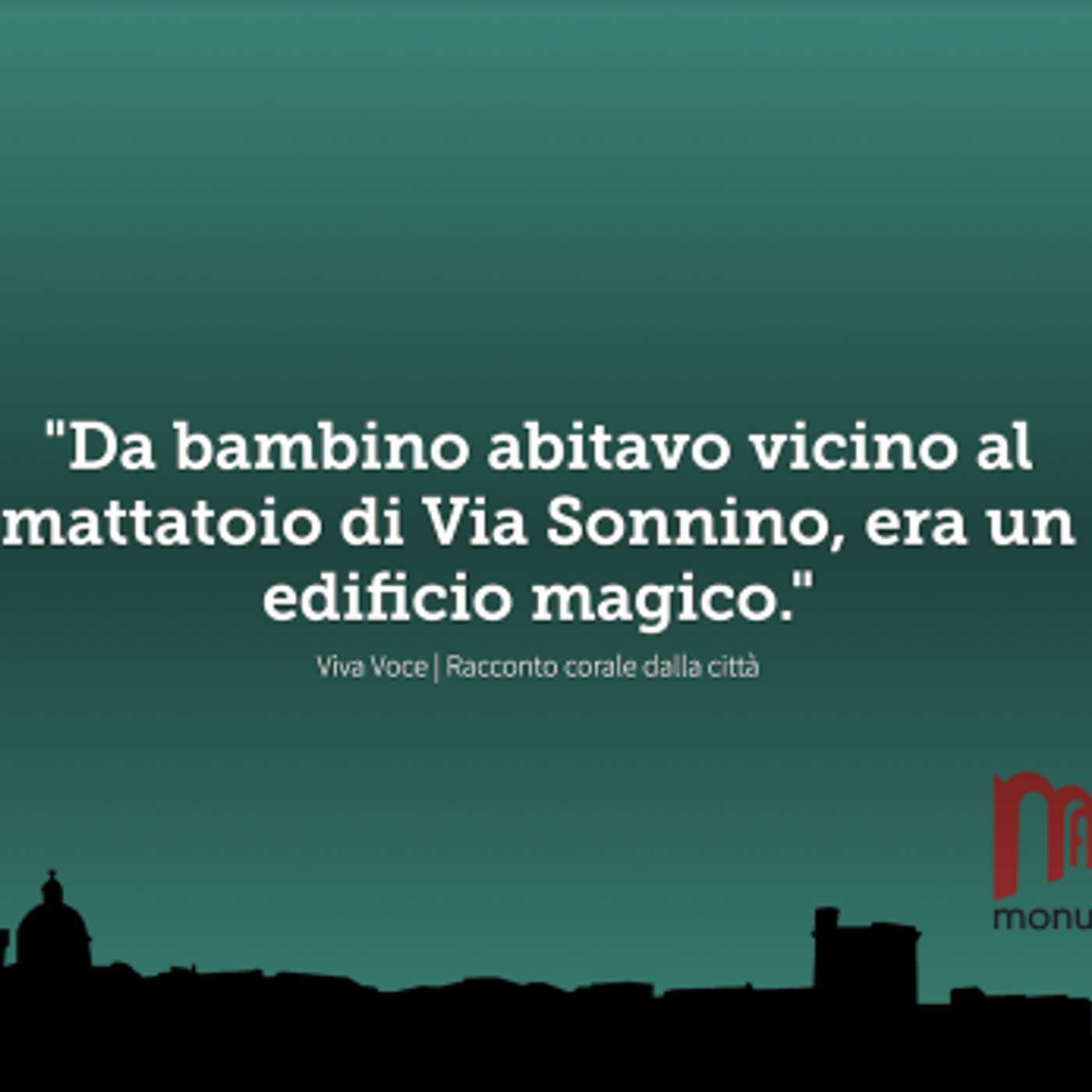 Viva Voce - racconto corale dalle città