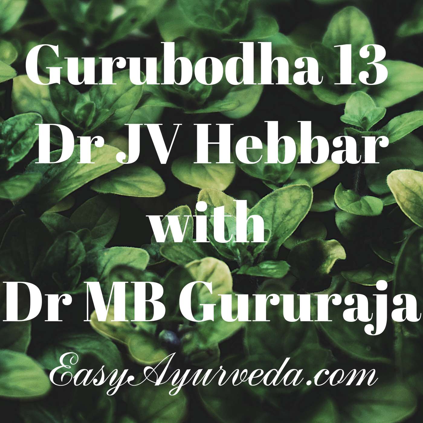 Gurubodha 13: Kutki (Picrorhiza kurroa) | Purgative Herbs | De-Addiction | Turmeric vs. Curcumin episode artwork