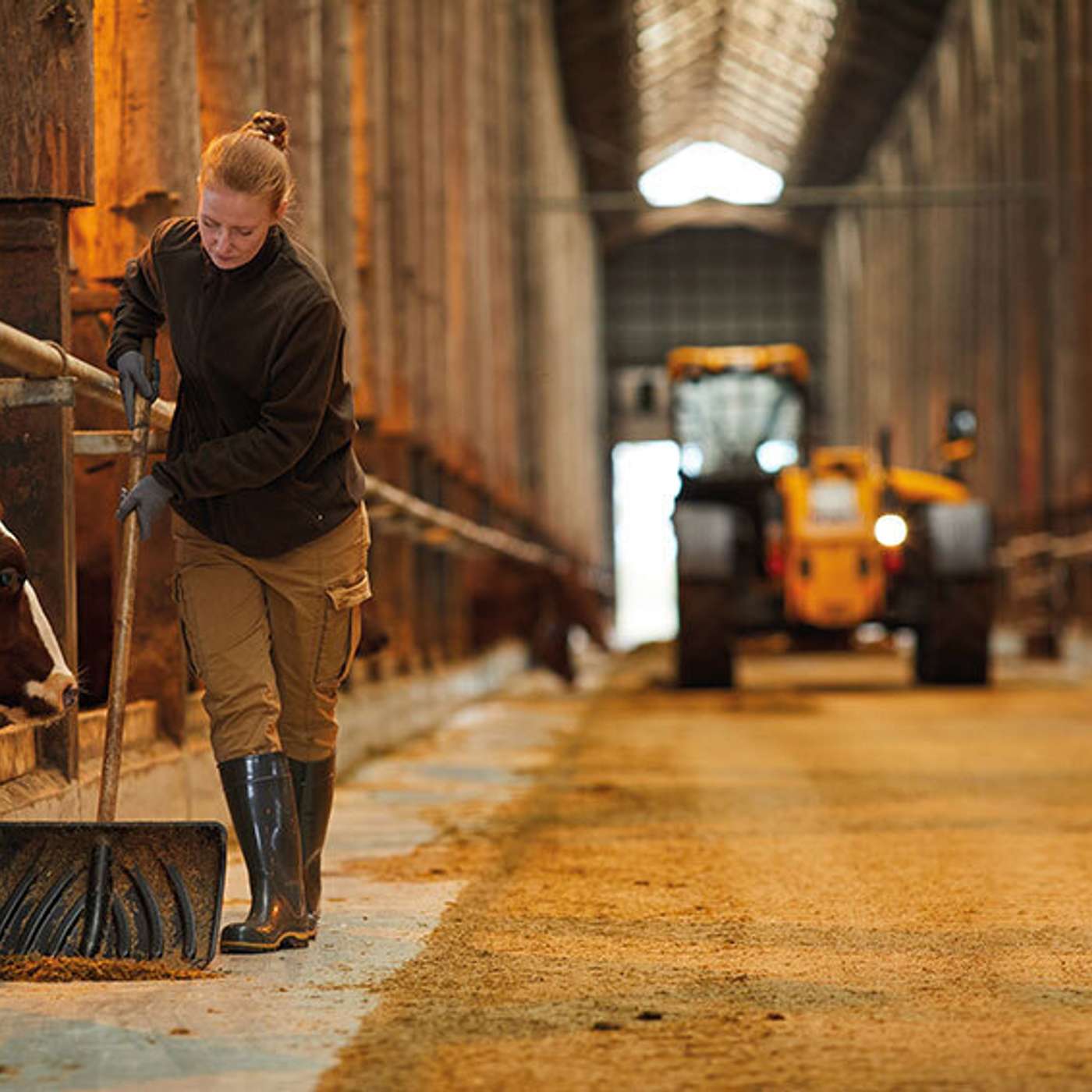 People & Time Management Courses with Martina Gormley