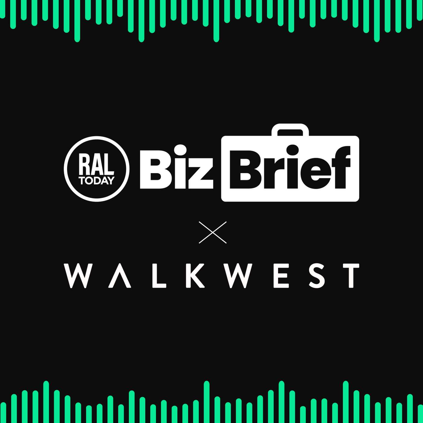 BizBrief