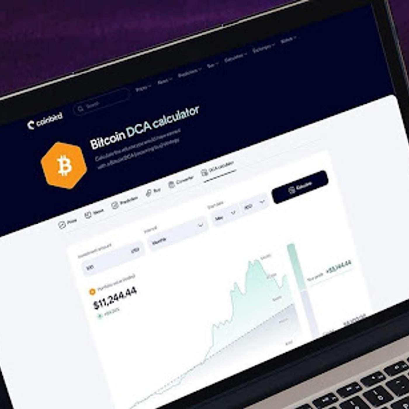 $100/Month in Bitcoin Since 2015 Would Have Turned $13,700 Into $632,000, Coinbird Analysis Shows