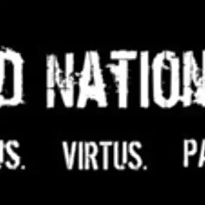 Dad Nation