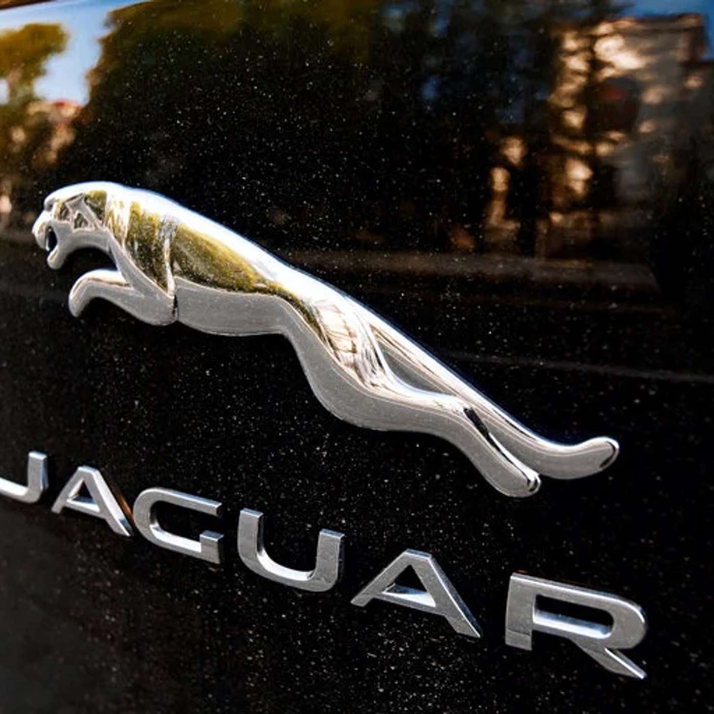 Former Coral Execs Seek $100M, ECD Automotive Boosts Bitcoin Reserves, Ethereum Withdrawal Sparks Market Buzz, Paimon Launches SPCX Token, and more...