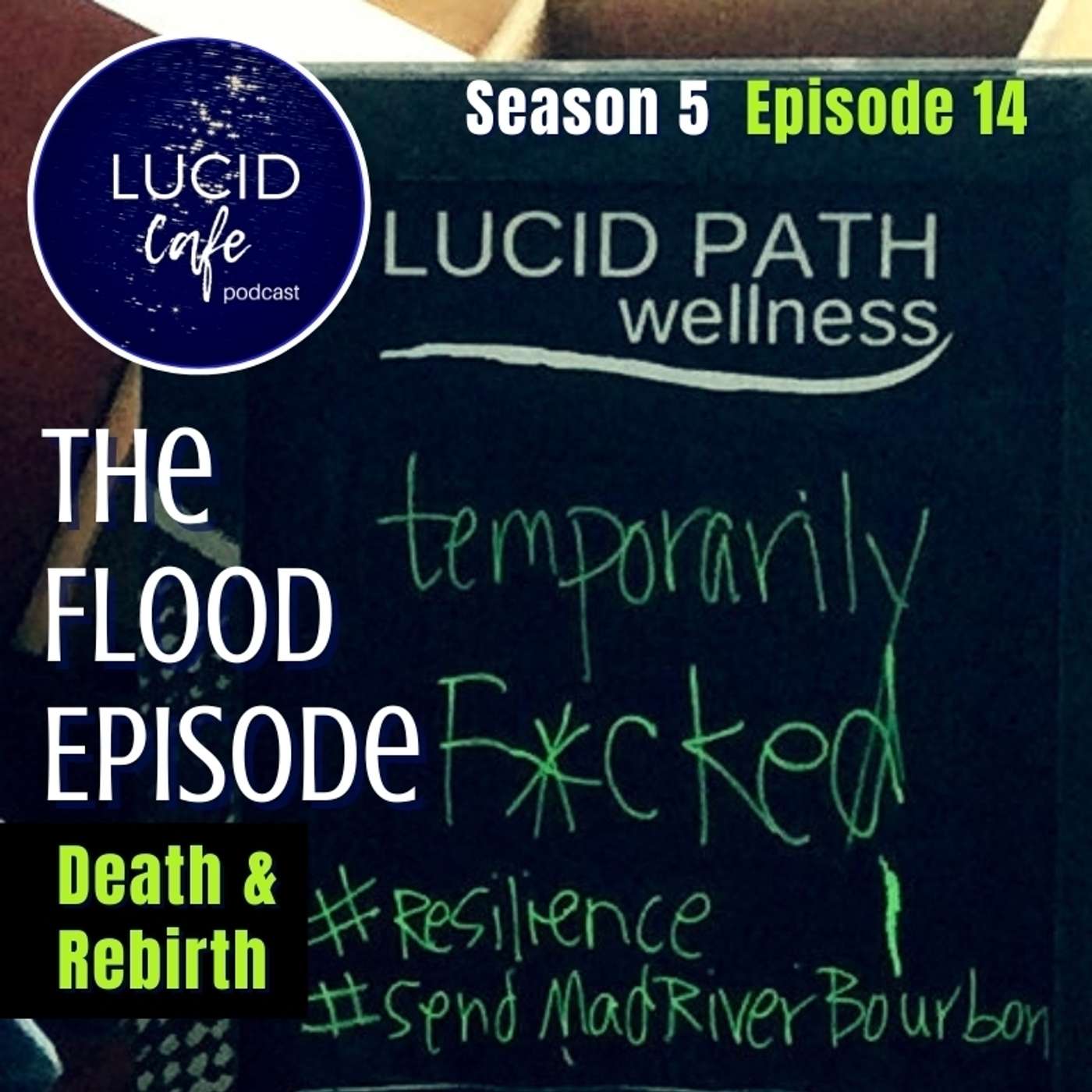 The Flood Episode: Death & Rebirth episode artwork