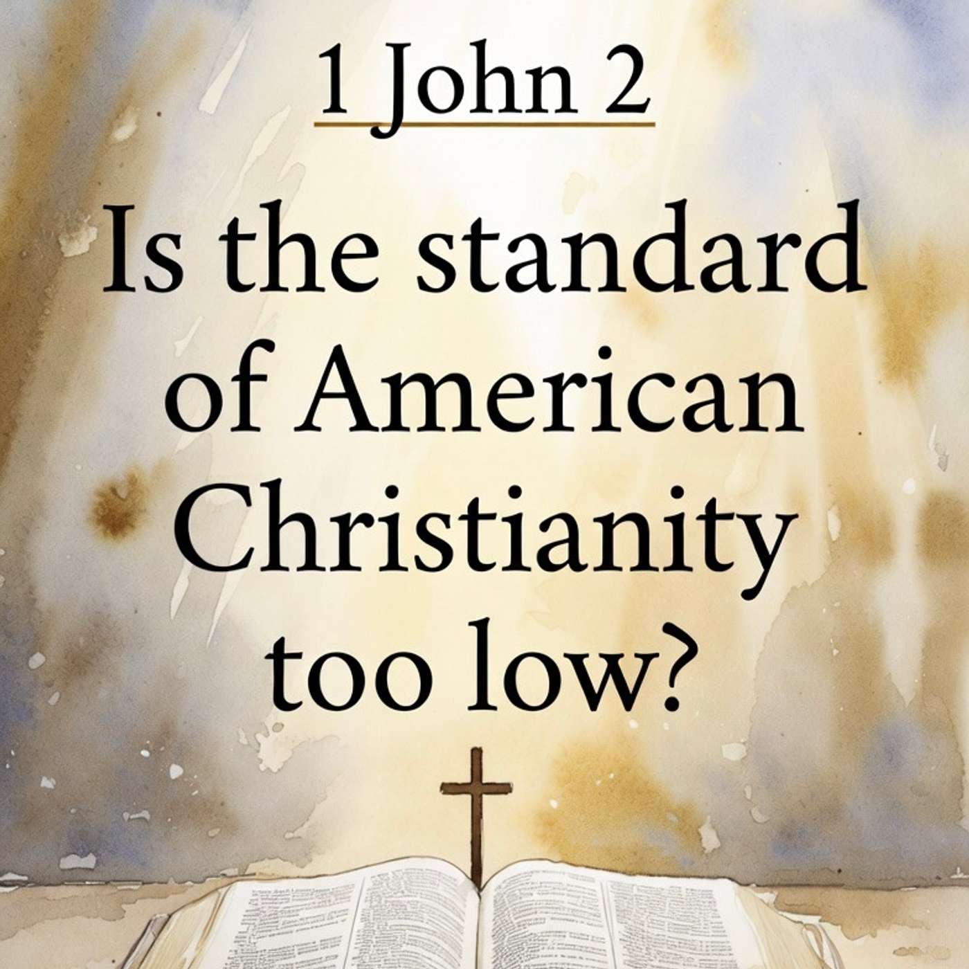 1 John 2 Is the standard in American Christianity too low? episode artwork