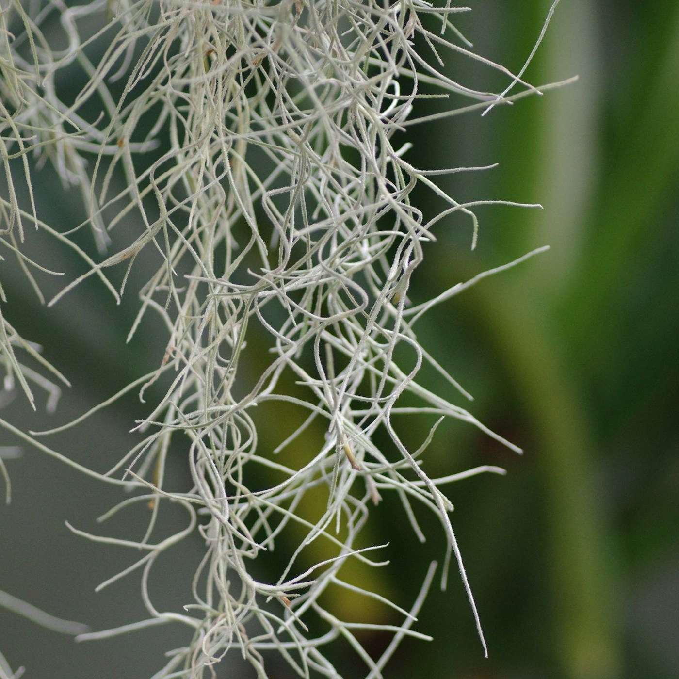 What Comes After the AI Bubble? What Comes After the AI Bubble?