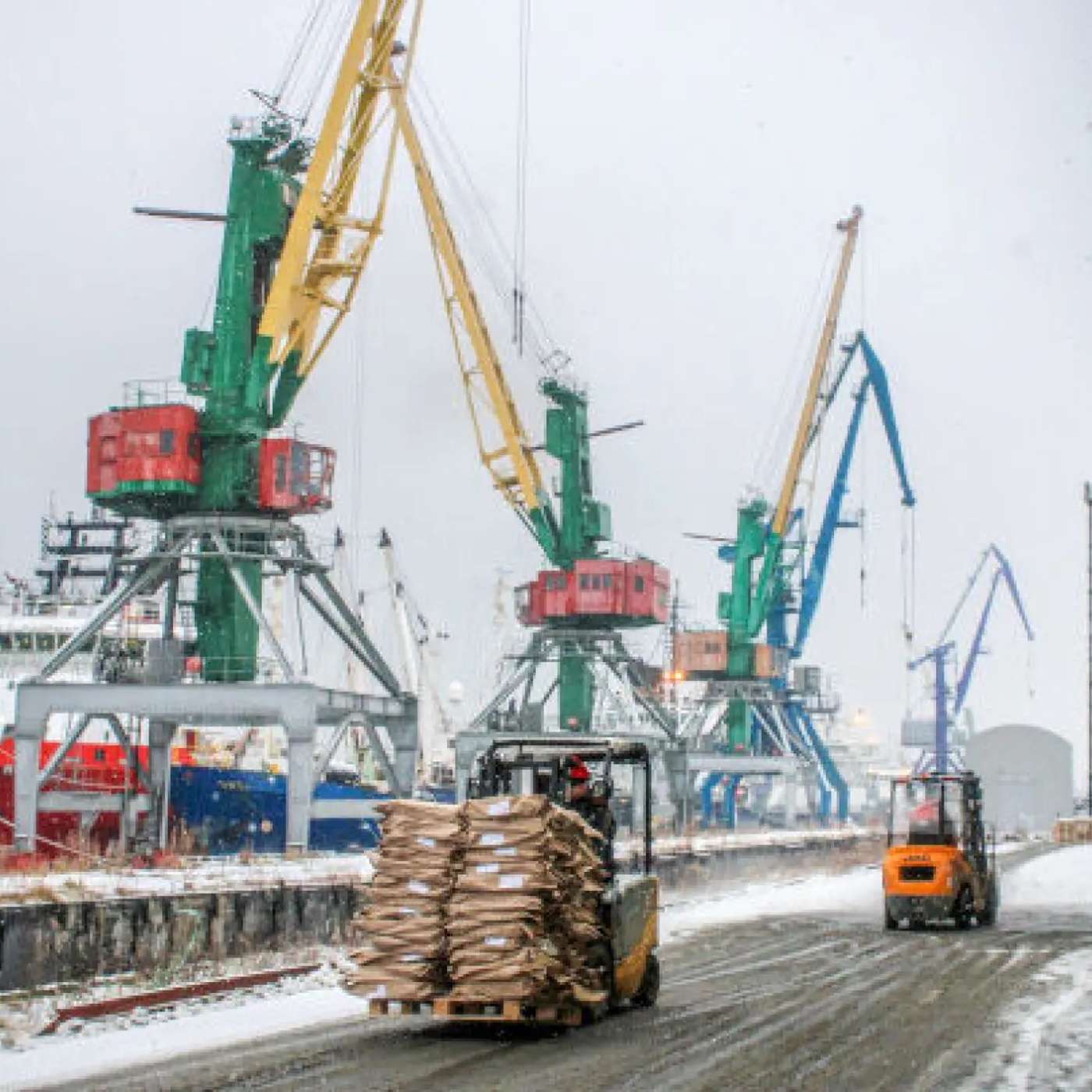 Рыбы меньше, цены выше: что происходит в Мурманском рыбном порту Рыбы меньше, цены выше: что происходит в Мурманском рыбном порту