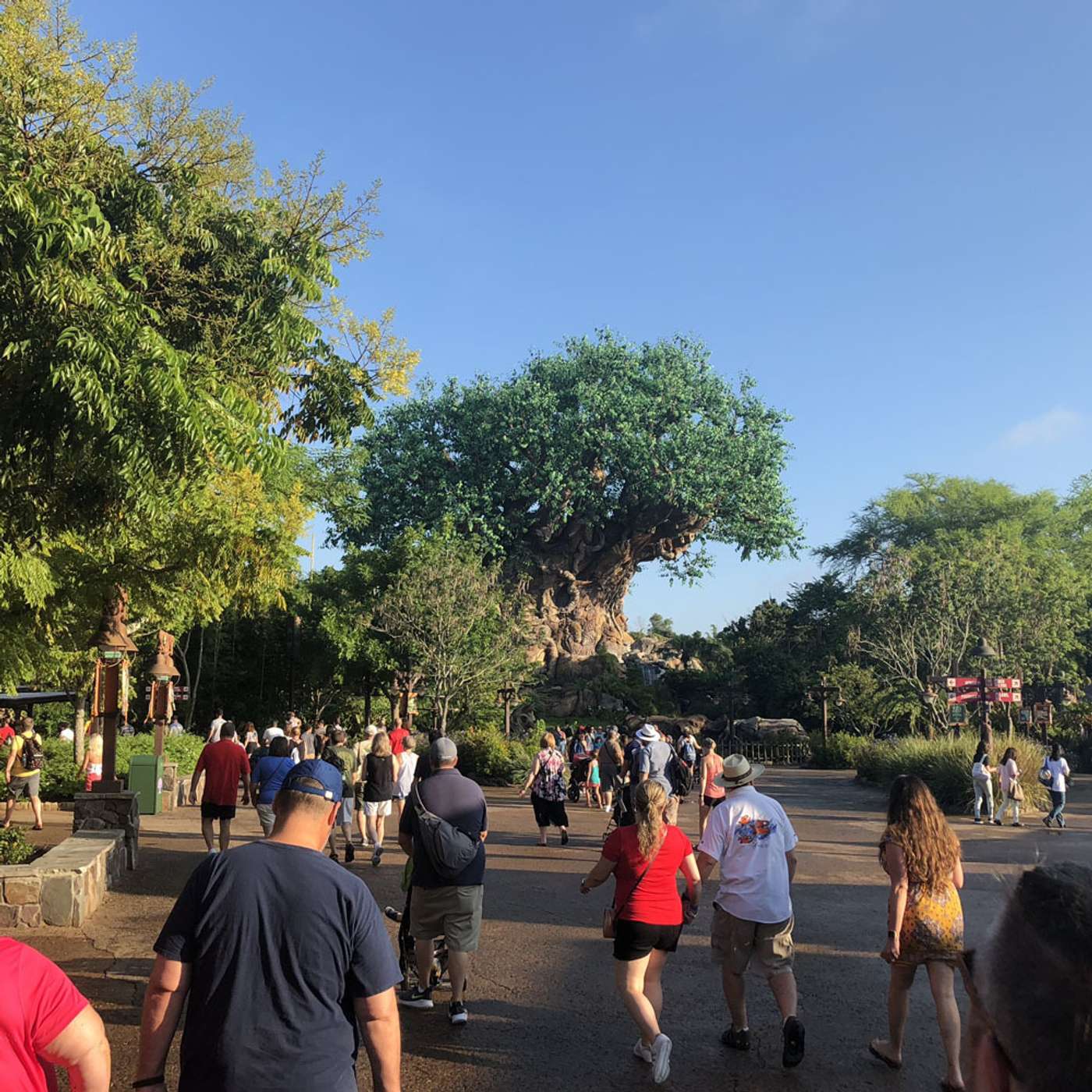 Episode 117: Discovering Animal Kingdom Discovery Island episode artwork