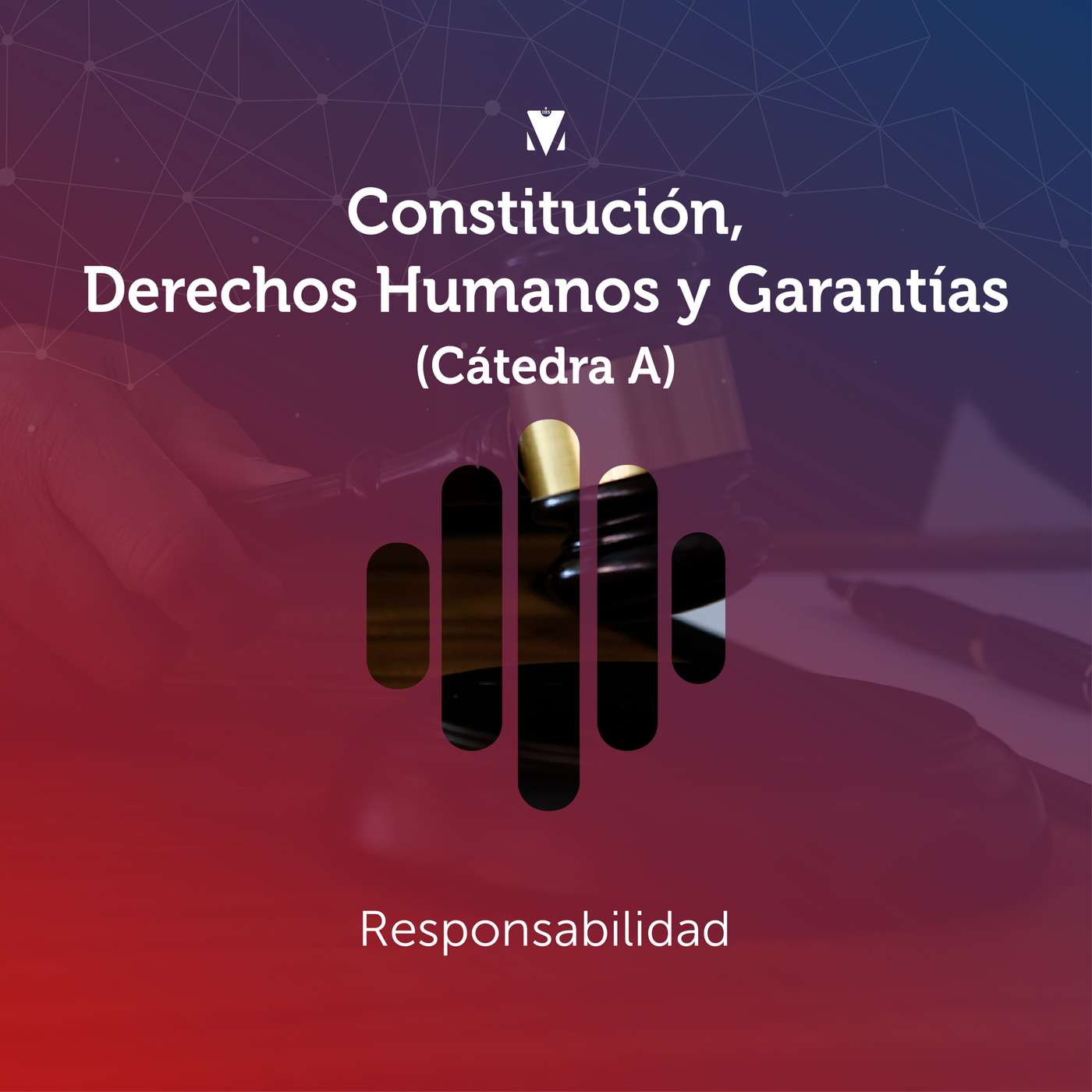 14 - CONSTITUCIÓN, DERECHOS HUMANOS Y GARANTÍAS (CÁTEDRA A): Responsabilidad episode artwork
