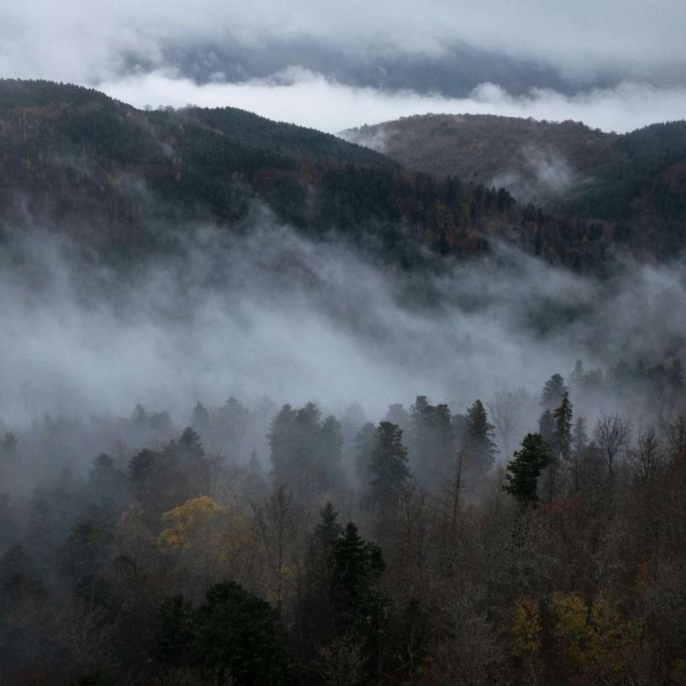 Experts Urge Immediate Emission Cuts, Music Eases Motion Sickness, Kerala Achieves Medical Breakthrough, Achieve Life Advances Smoking Cessation Drug, and more...