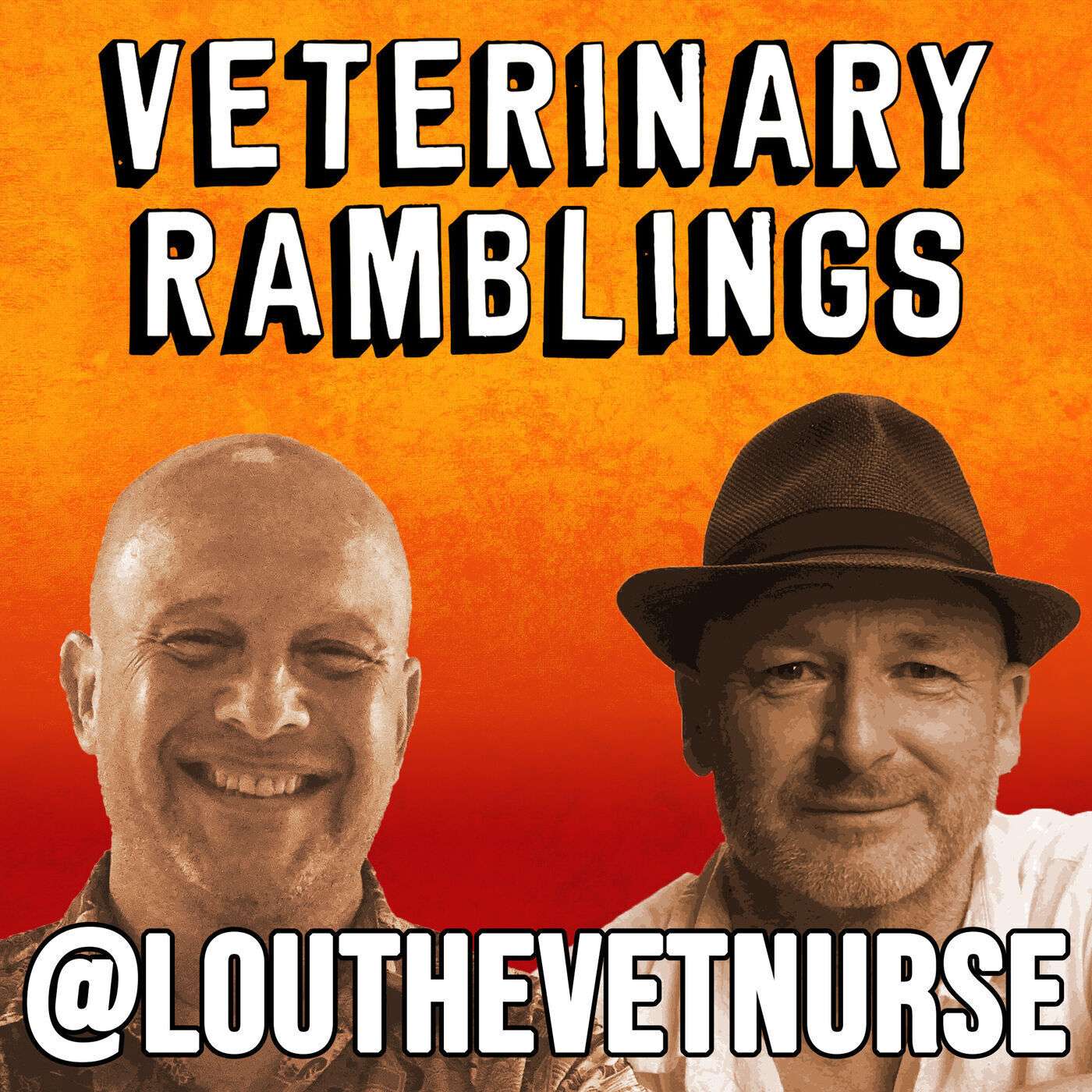 Ep 82: Veterinary Nursing & Motherhood With Lou Northway episode artwork