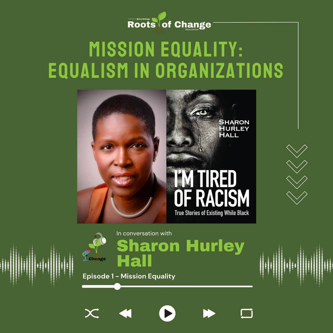 Mission Equality | Practicing Equalism in Organizations episode artwork