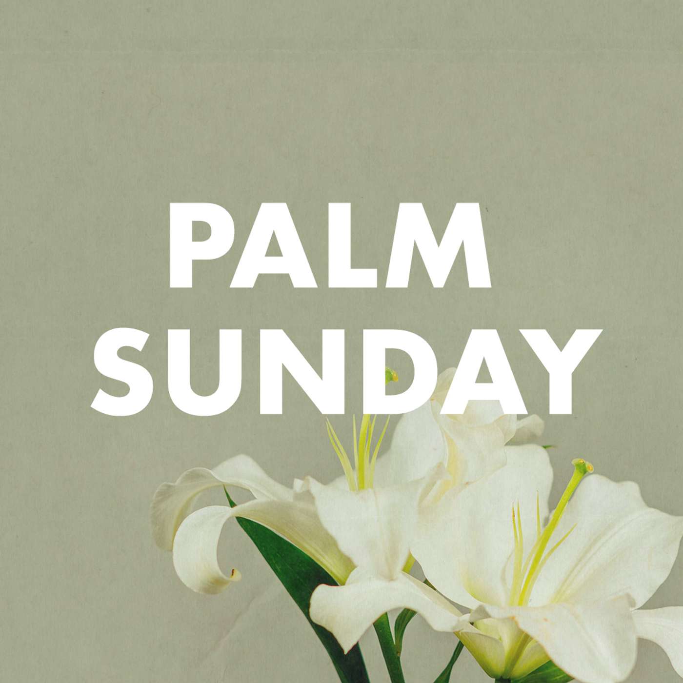Palm Sunday with Rev. Terence Gray episode artwork