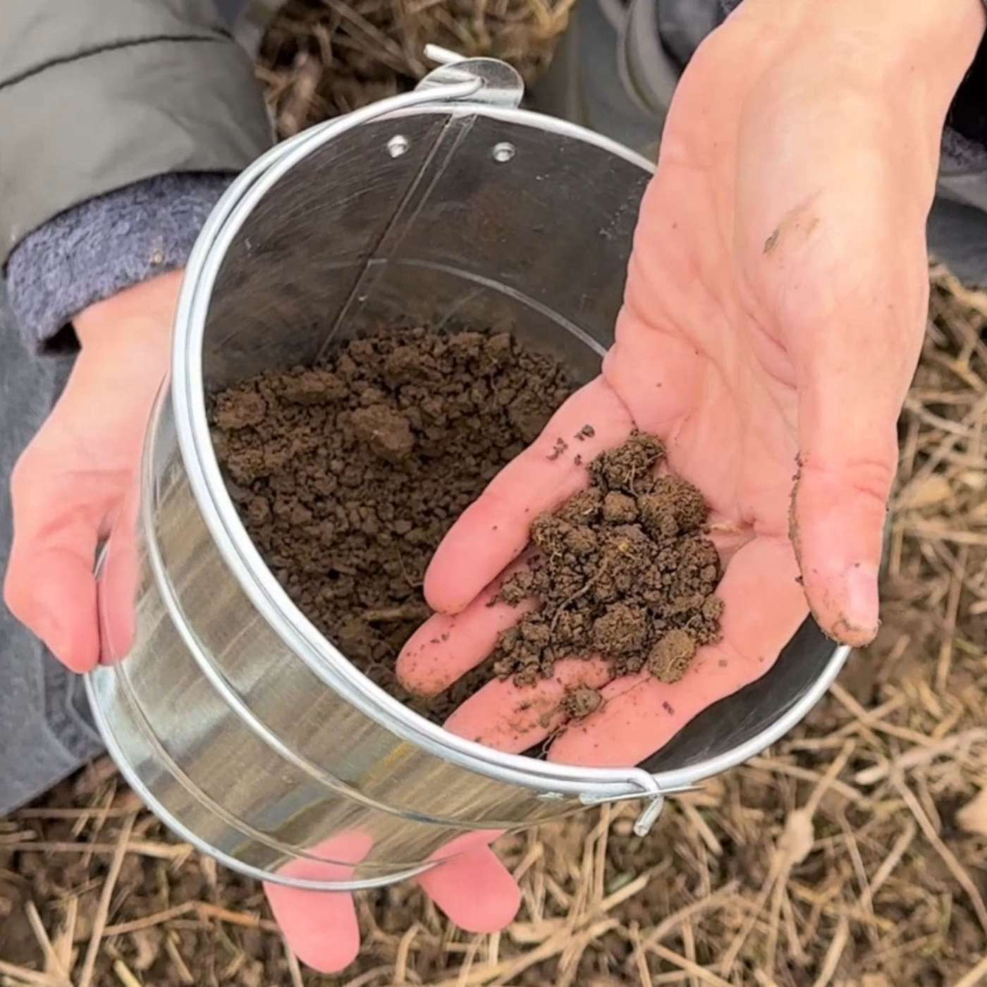 Preparing Soil for Fruit Trees with Ariel Agenbroad Preparing Soil for Fruit Trees with Ariel Agenbroad