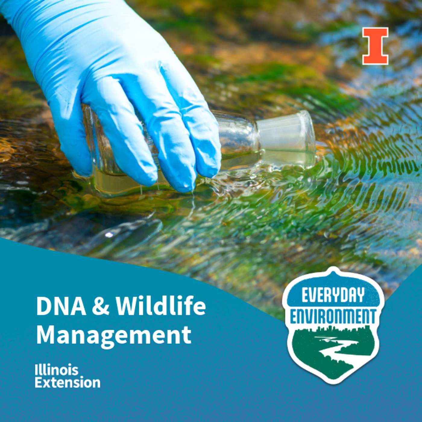 Everyday Environment Podcast